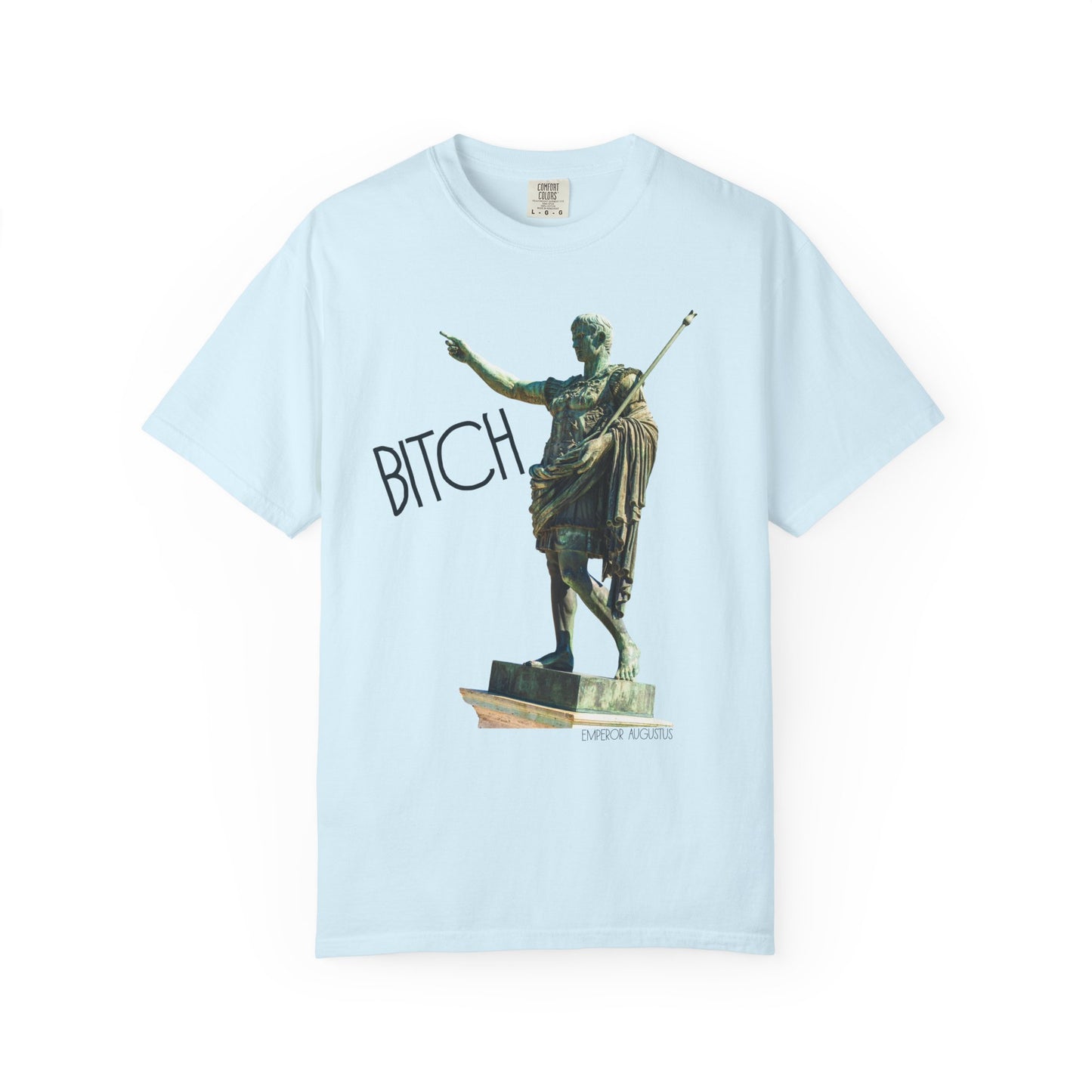 chambray blue t-shirt with a graphic of a statue pointing and the word 'Bitch' on a white background