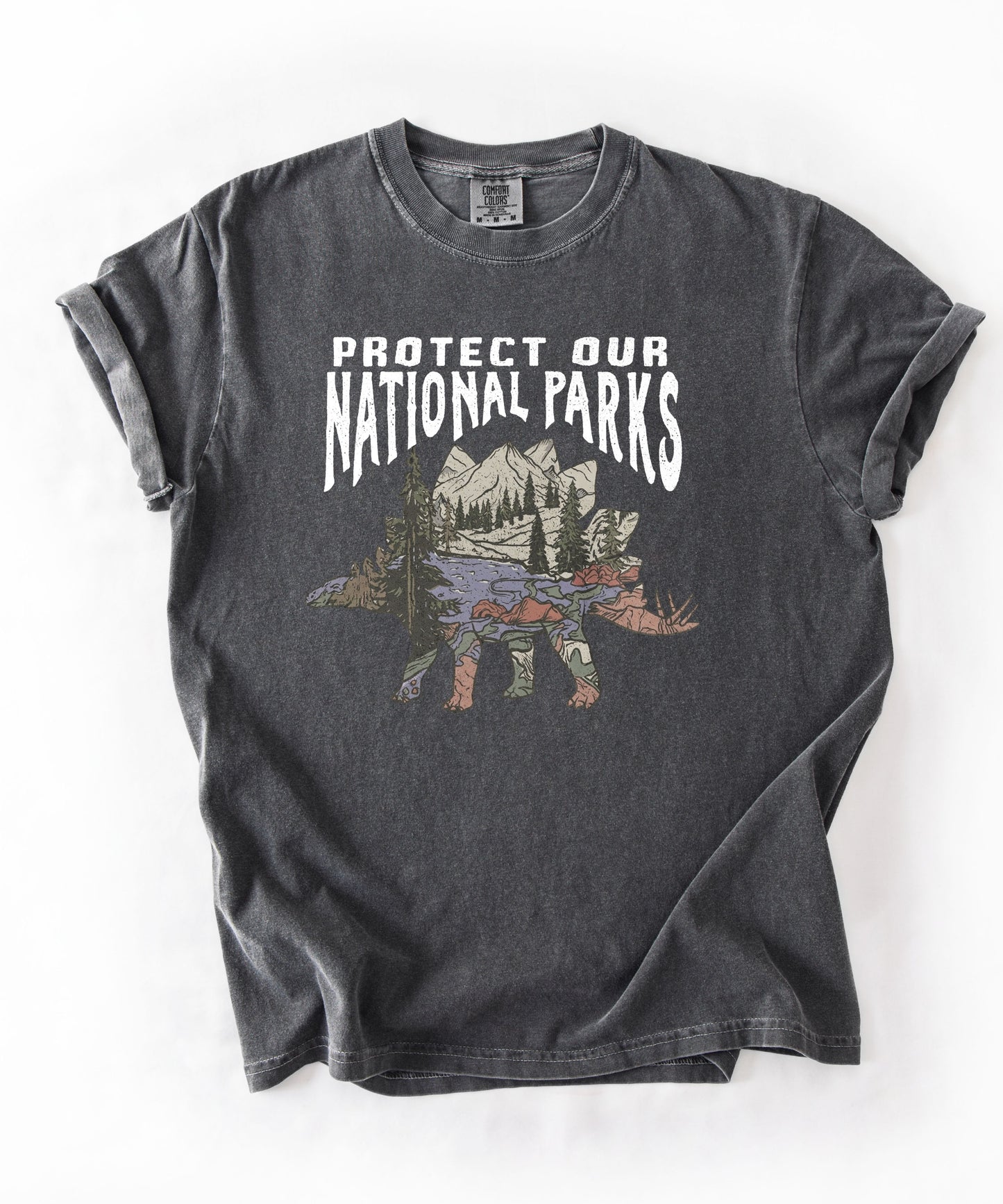 Protect Our National Parks garment-dyed t-shirt in Pepper — vintage stegosaurus graphic with mountain landscape fill"