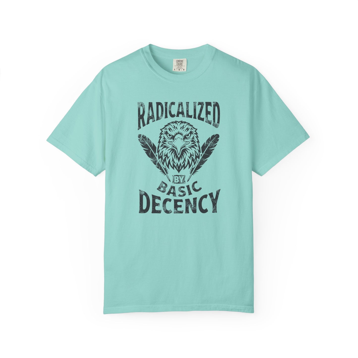 Radicalized by Basic Decency T-Shirt in Chalky Mint — vintage Americana eagle protest graphic tee, garment dyed