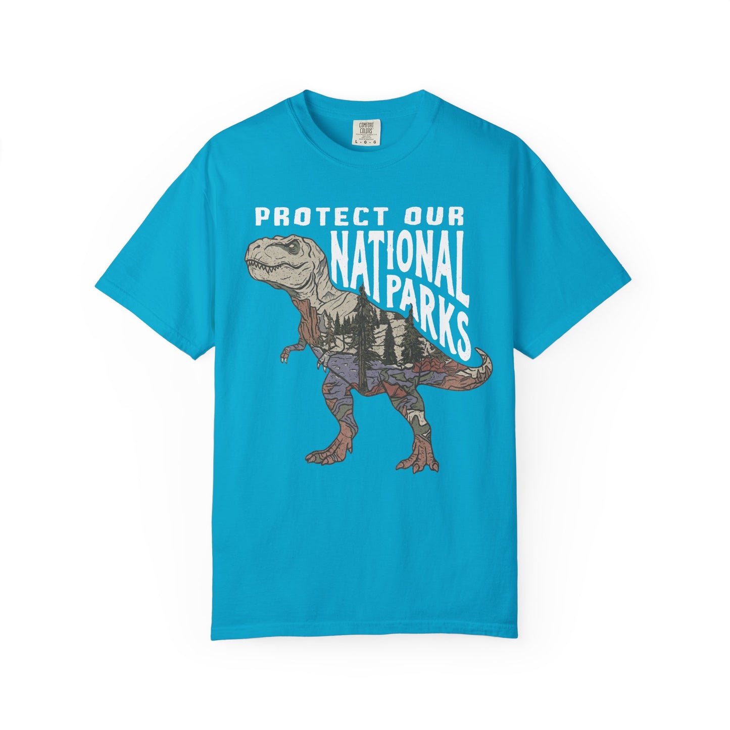 Protect Our National Parks T. Rex Graphic T-Shirt in Sapphire— vintage dino conservation tee