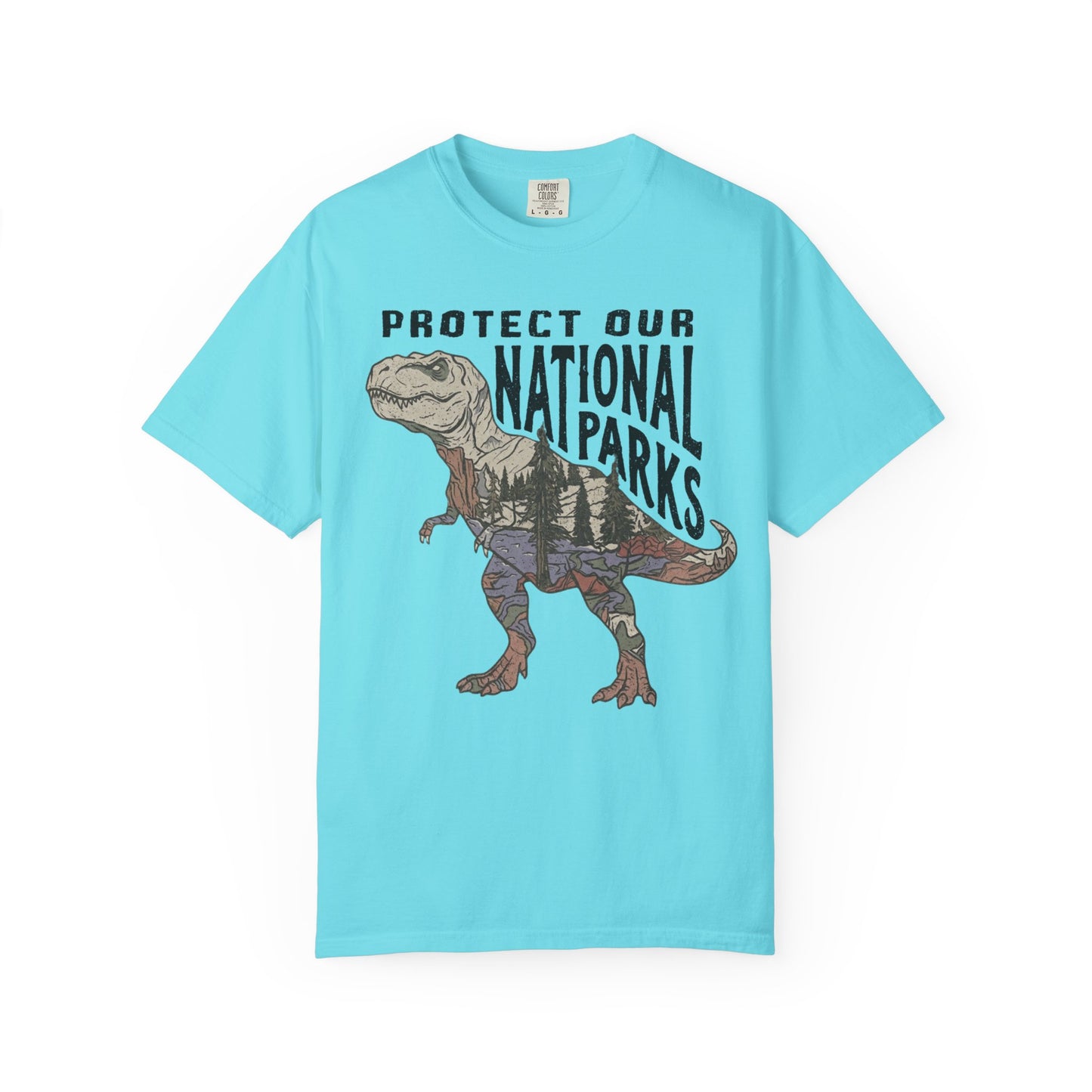 Protect Our National Parks T. Rex Graphic T-Shirt in Lagoon Blue— vintage dino conservation tee