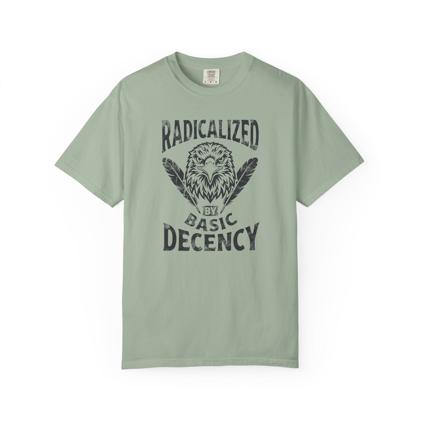 Radicalized by Basic Decency T-Shirt in Bay — vintage Americana eagle protest graphic tee, garment dyed