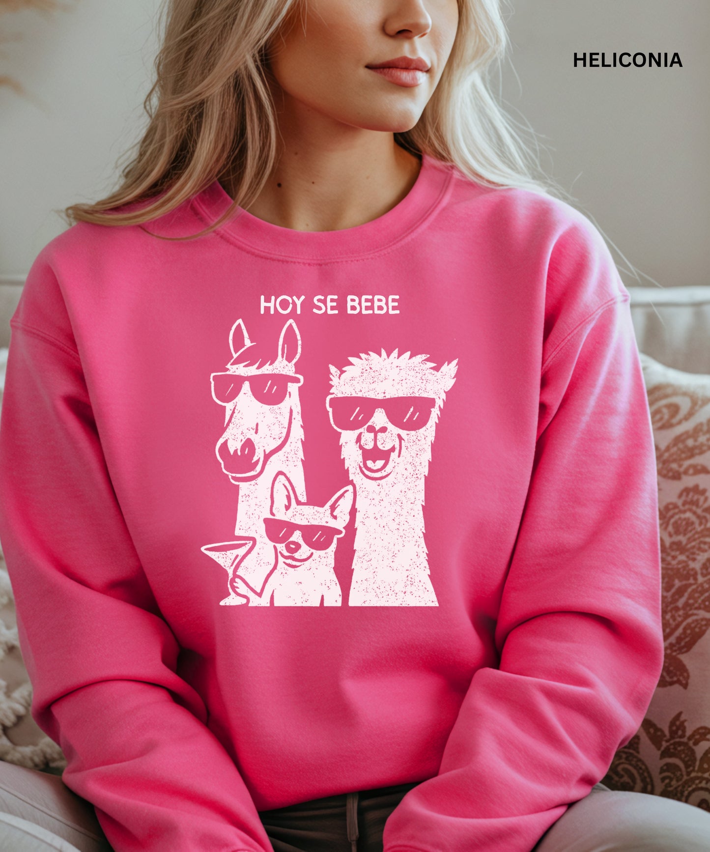 Person wearing a heliconia sweatshirt with llama and dog graphic and 'HOY SE BEBE' text.