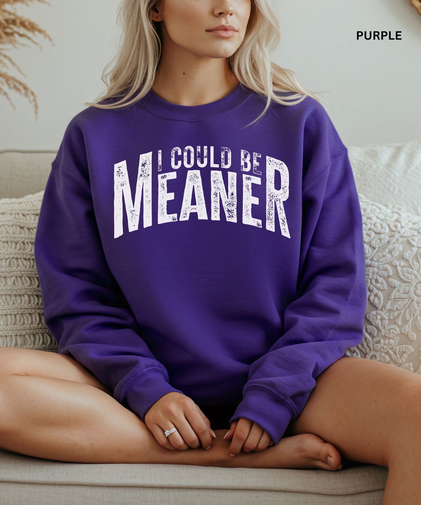 I Could Be Meaner Sweatshirt