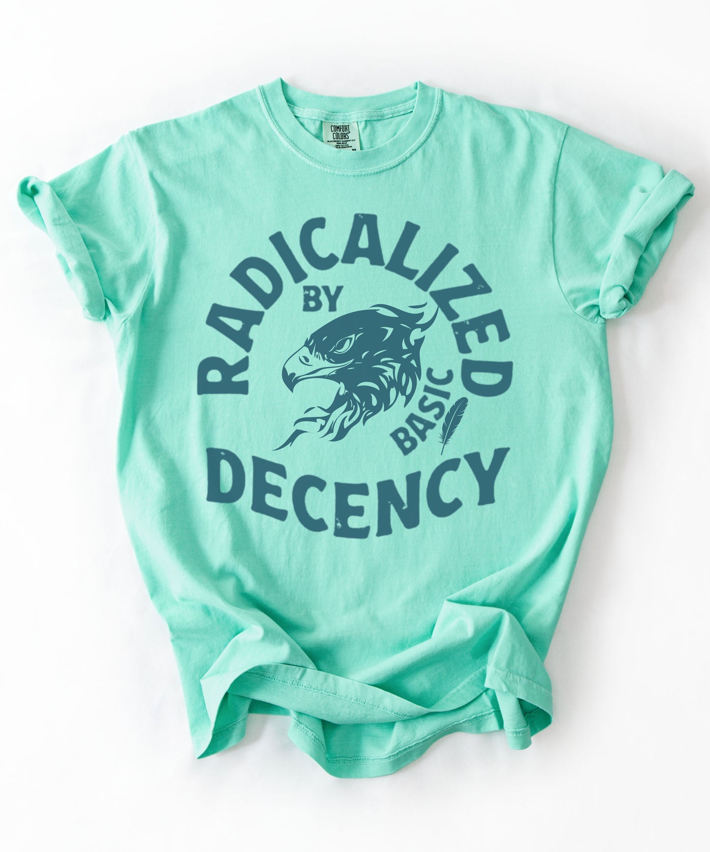 Radicalized by Basic Decency T-Shirt