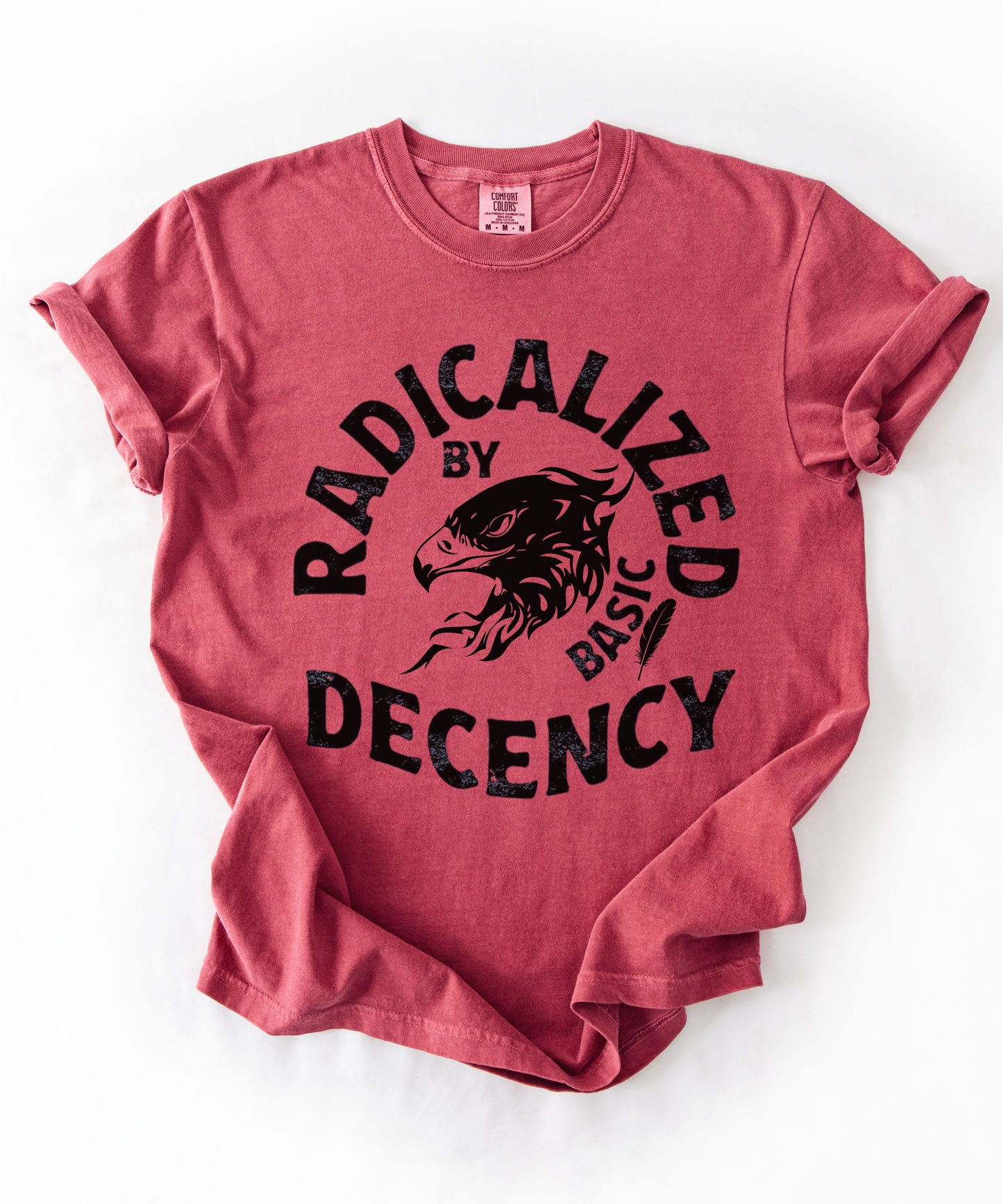 Radicalized by Basic Decency T-Shirt