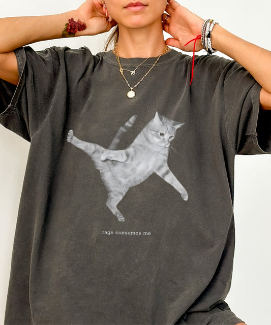 Rage Consumes Me Cat Meme comfort colors  shirt