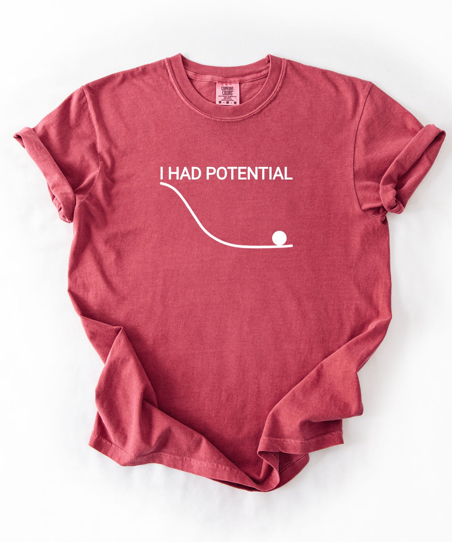 Comfort Colors “I Had Potential” shirt