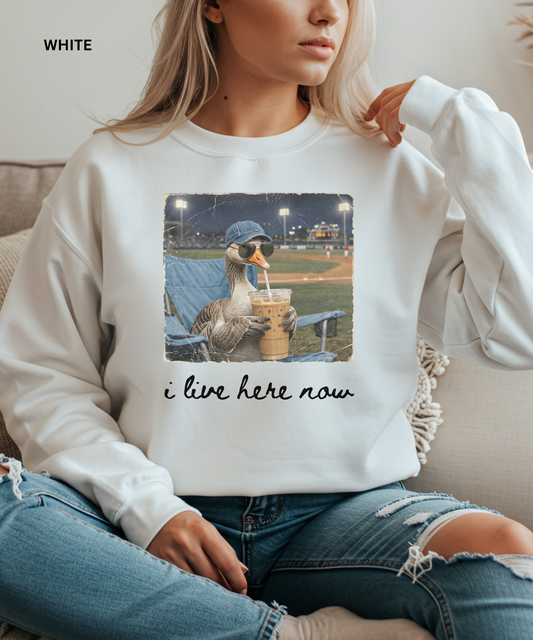 Funny Goose Baseball Sweatshirt