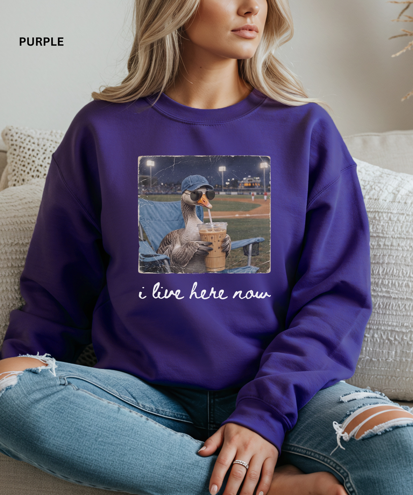 Funny Goose Baseball Sweatshirt