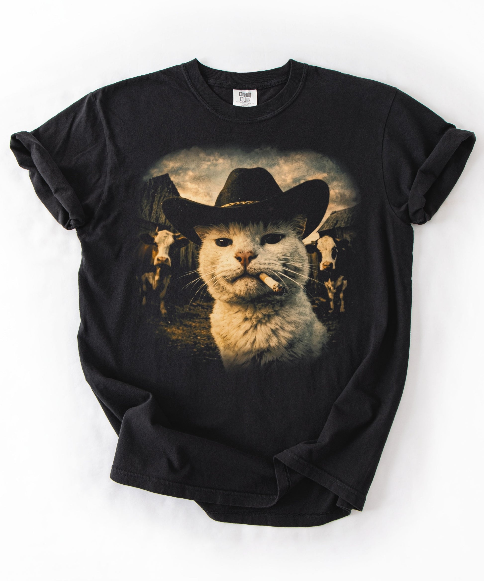  Cowboy cat graphic t-shirt in black — garment-dyed heavyweight tee with western ranch print, front view
