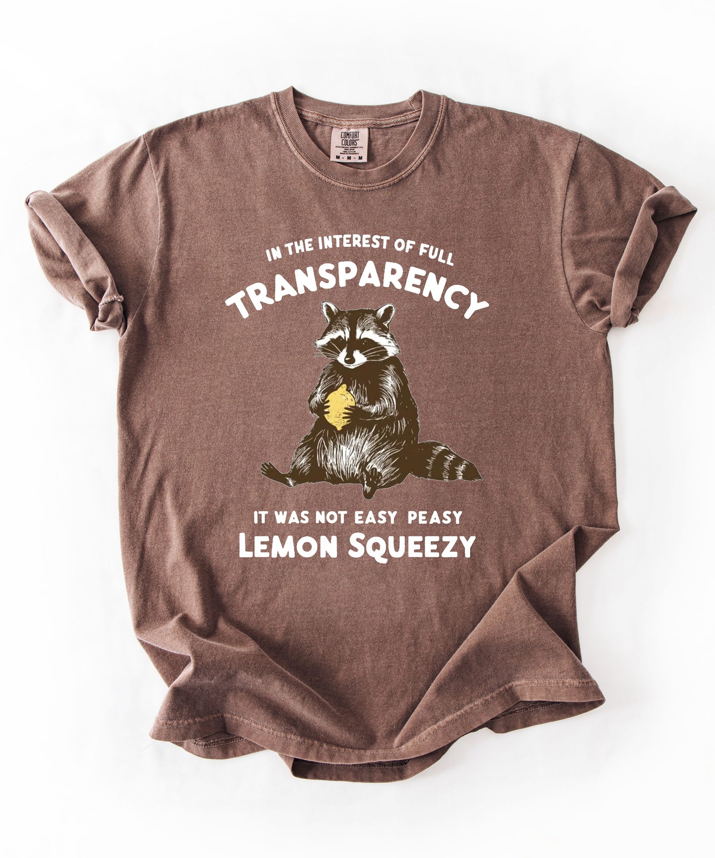 Funny raccoon sarcastic meme t-shirt in Espresso — "Was Not Easy Peasy Lemon Squeezy" graphic tee
