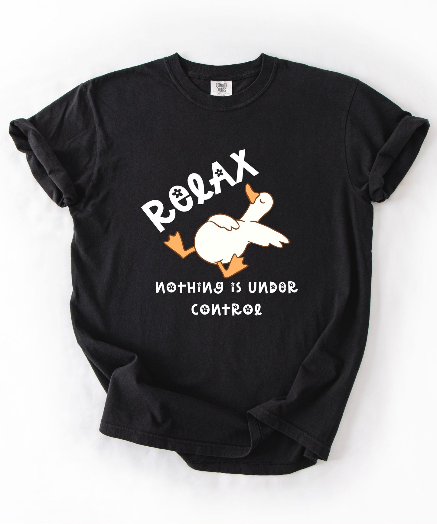 Silly Goose Relax Nothing Is Under Control T-Shirt in Black garment-dyed graphic tee