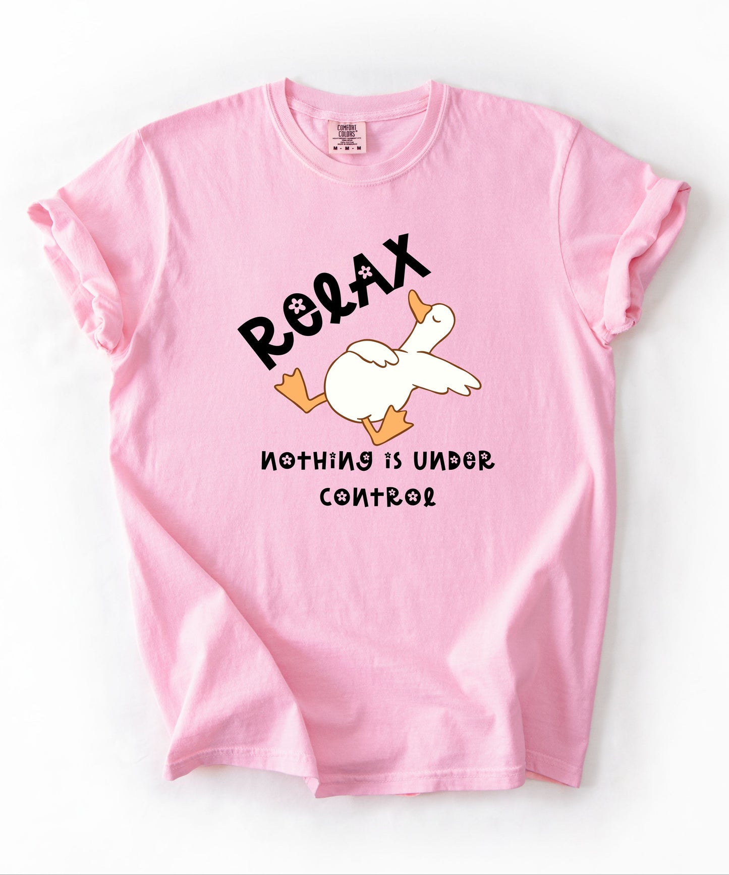 Silly Goose Relax Nothing Is Under Control T-Shirt in Blossom garment-dyed graphic tee