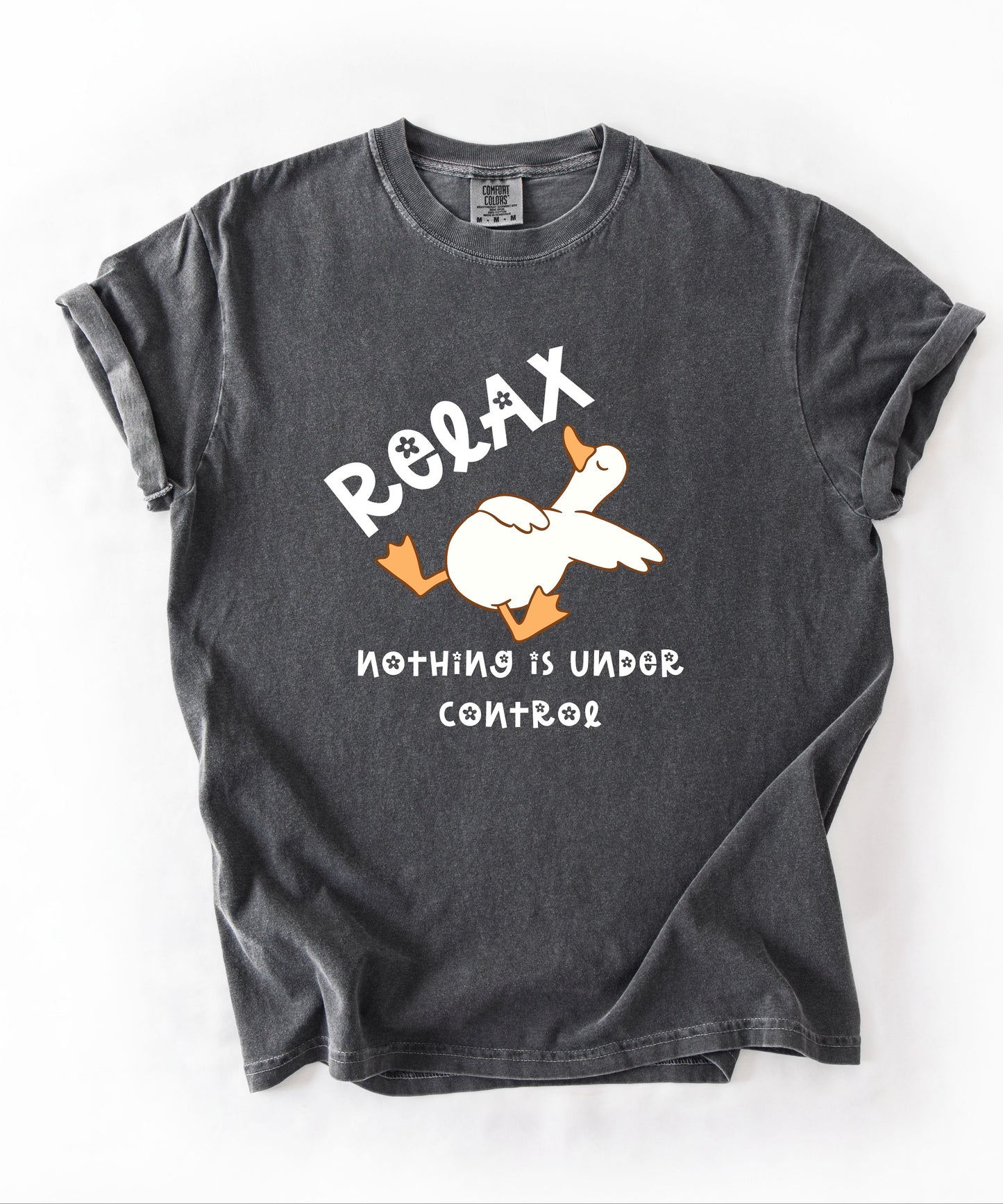 Silly Goose Relax Nothing Is Under Control T-Shirt in Pepper garment-dyed graphic tee