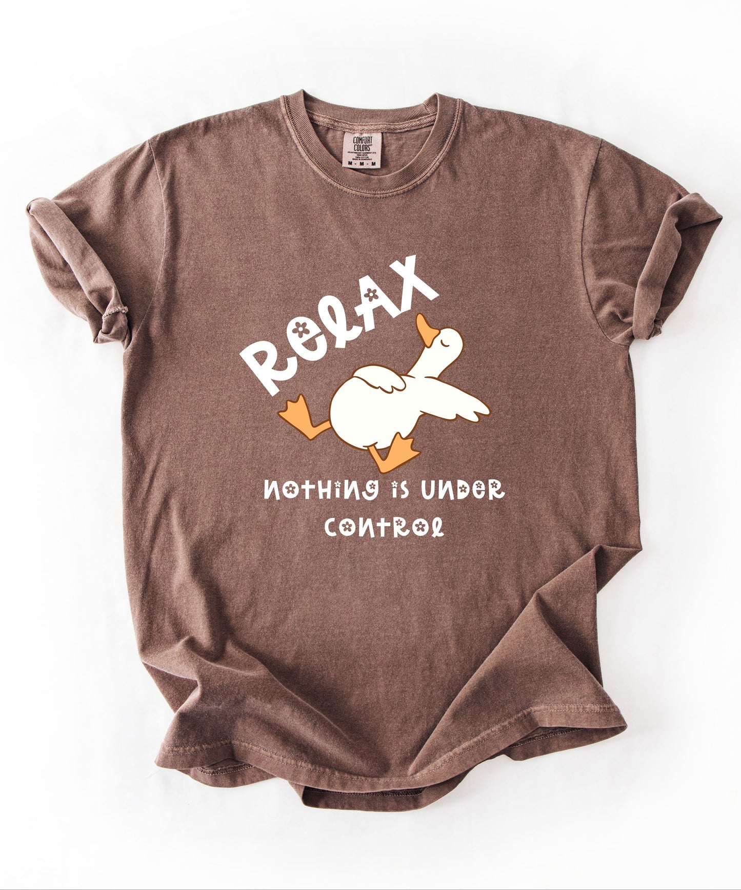Silly Goose Relax Nothing Is Under Control T-Shirt in Espresso garment-dyed graphic tee