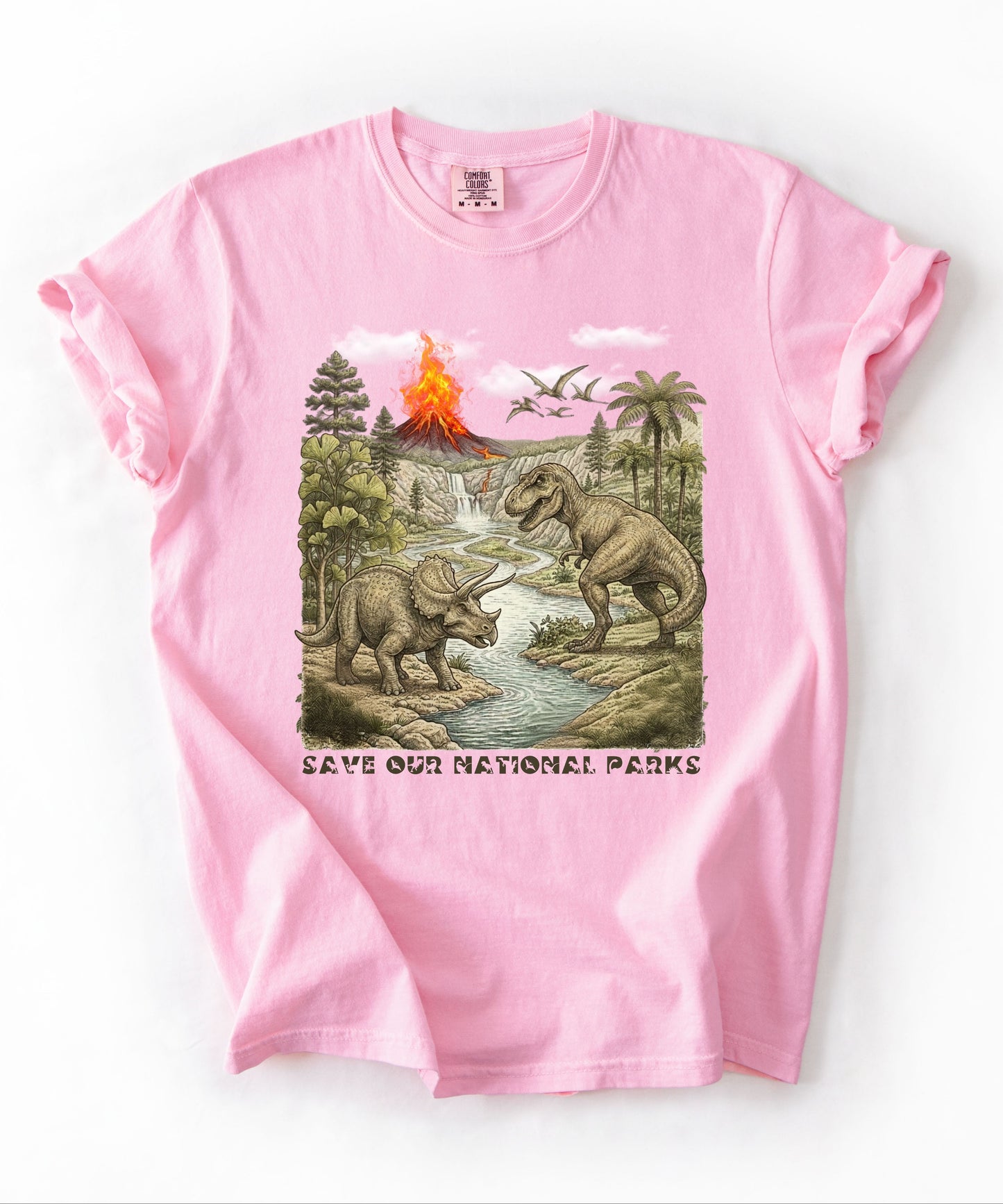 Save Our National Parks shirt in Blossom — vintage dinosaur graphic tee for nature lovers