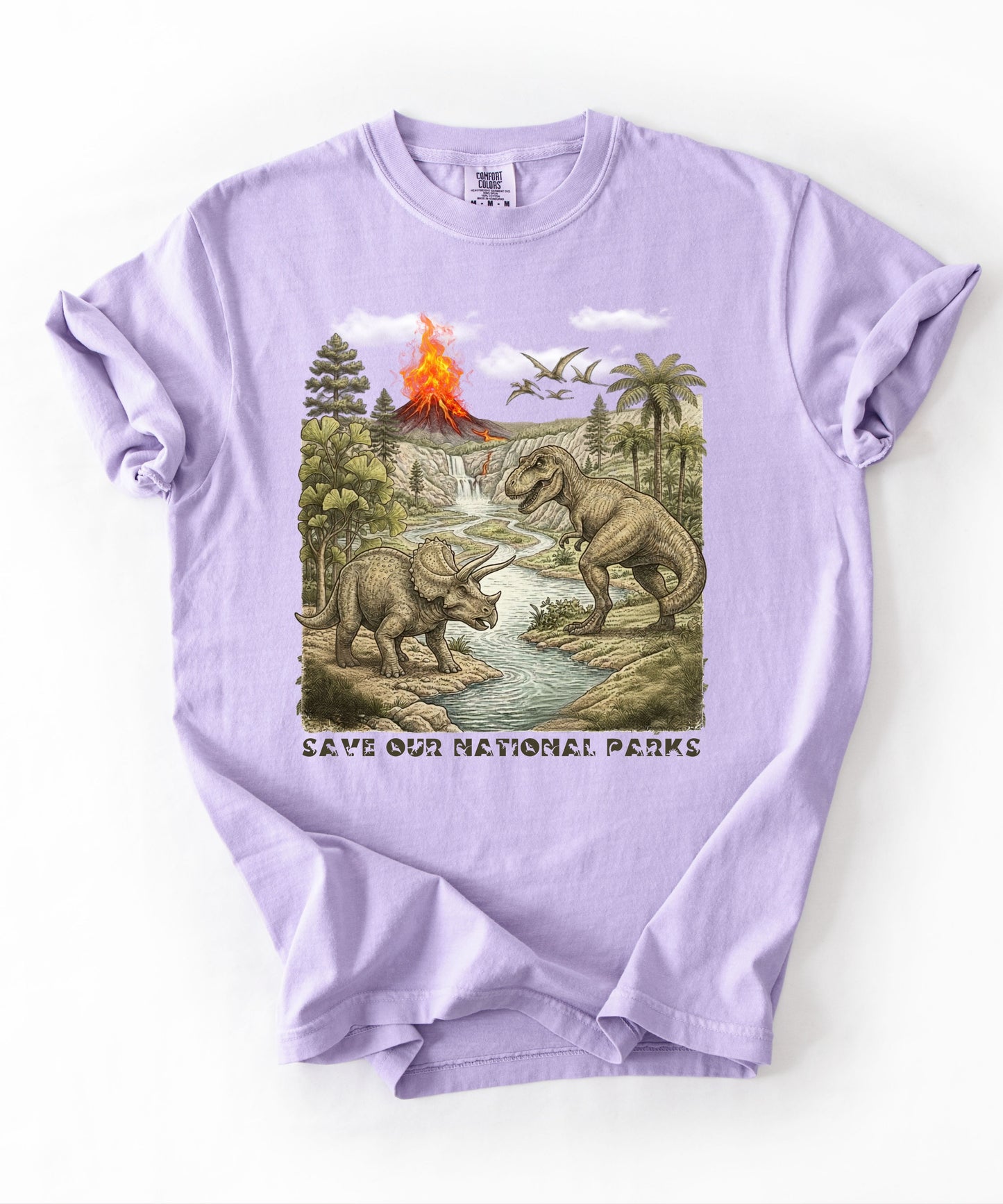 Save Our National Parks shirt in Orchid — vintage dinosaur graphic tee for nature lovers