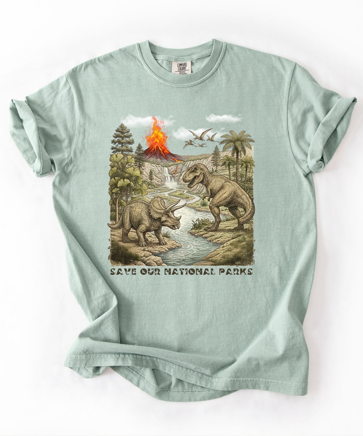 Save Our National Parks shirt in Bay — vintage dinosaur graphic tee for nature lovers