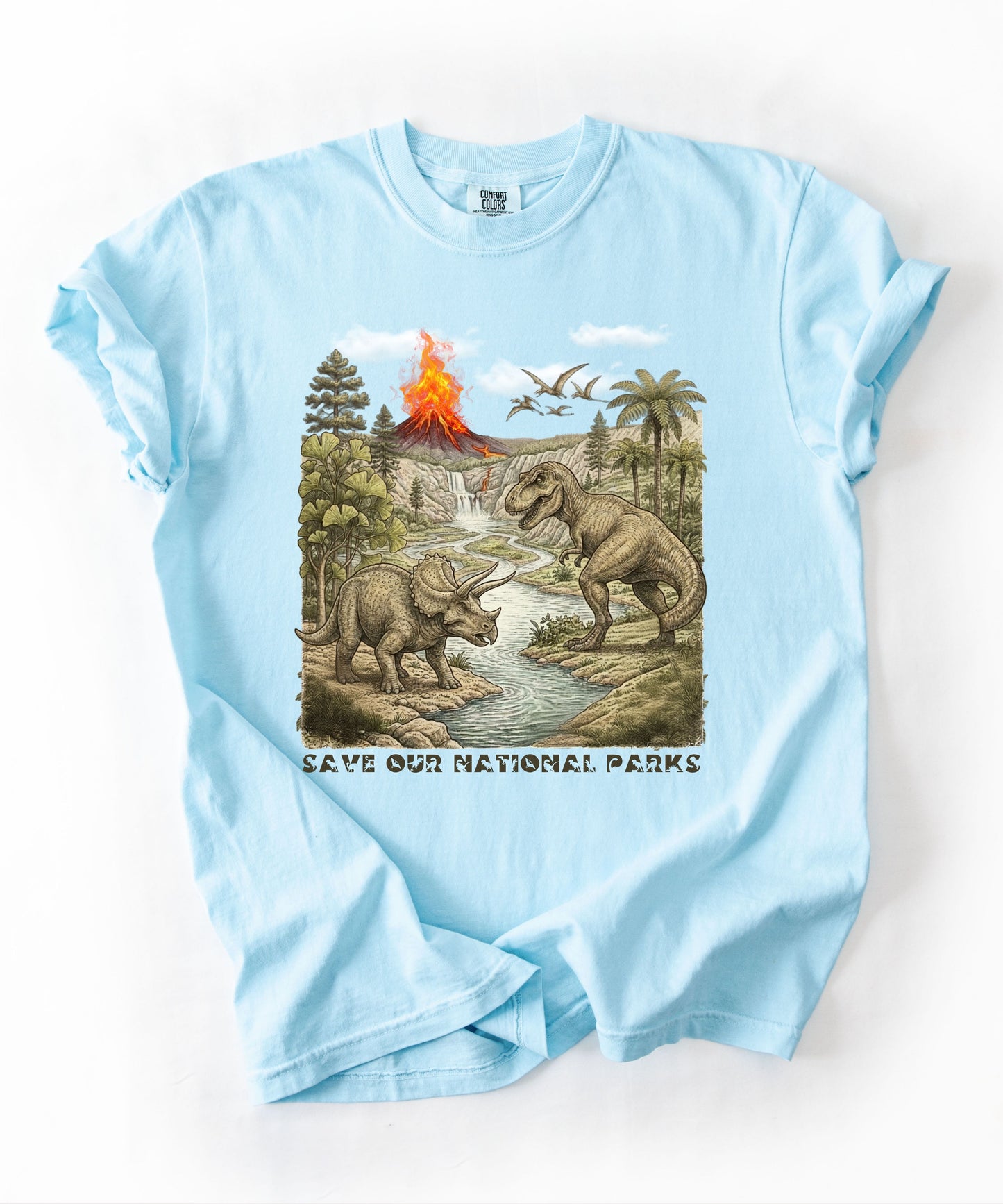 Save Our National Parks shirt in Chambray — vintage dinosaur graphic tee for nature lovers
