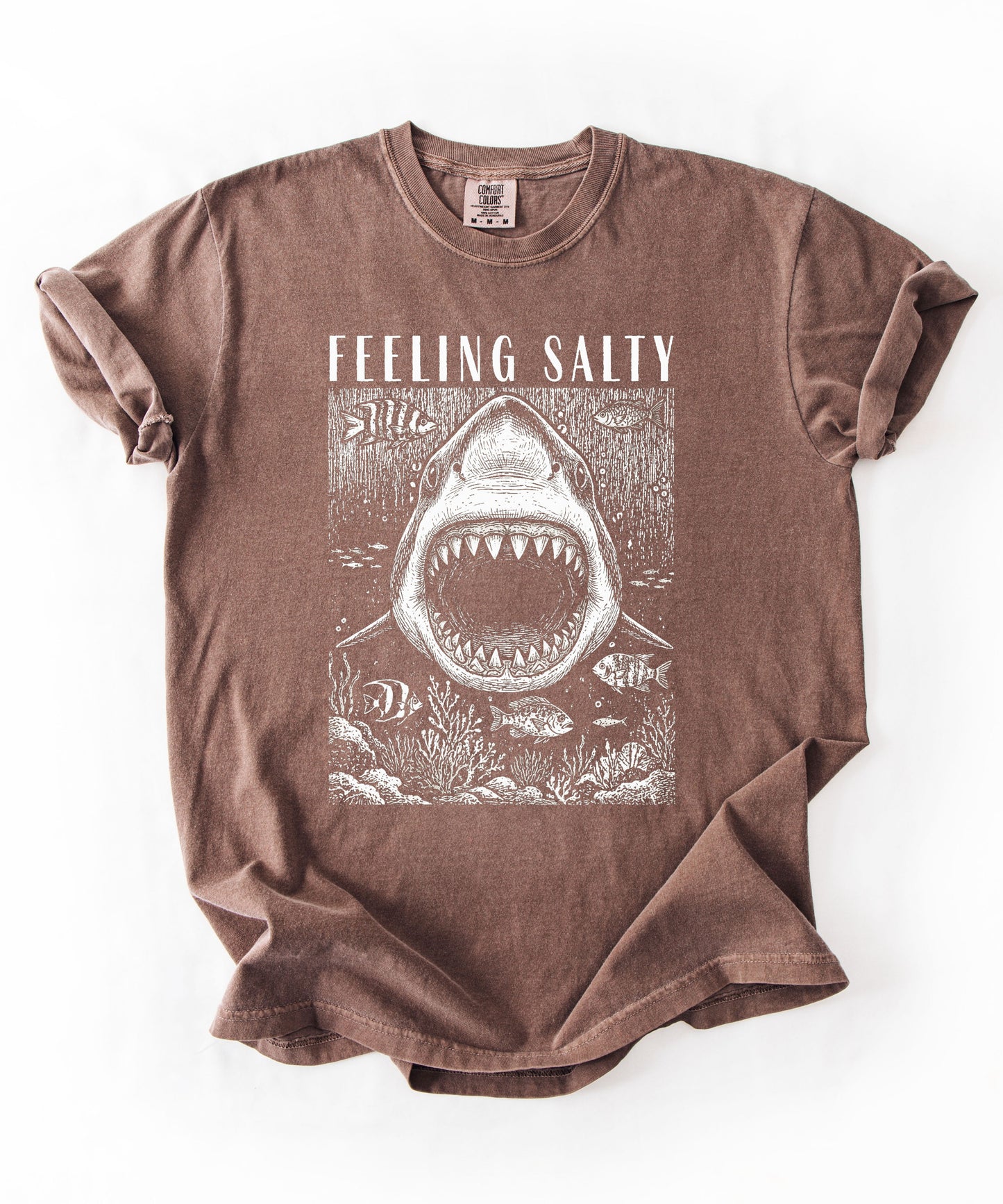 Feeling Salty Shark T-Shirt in Espresso — Comfort Colors vintage ocean graphic tee, unisex relaxed fit