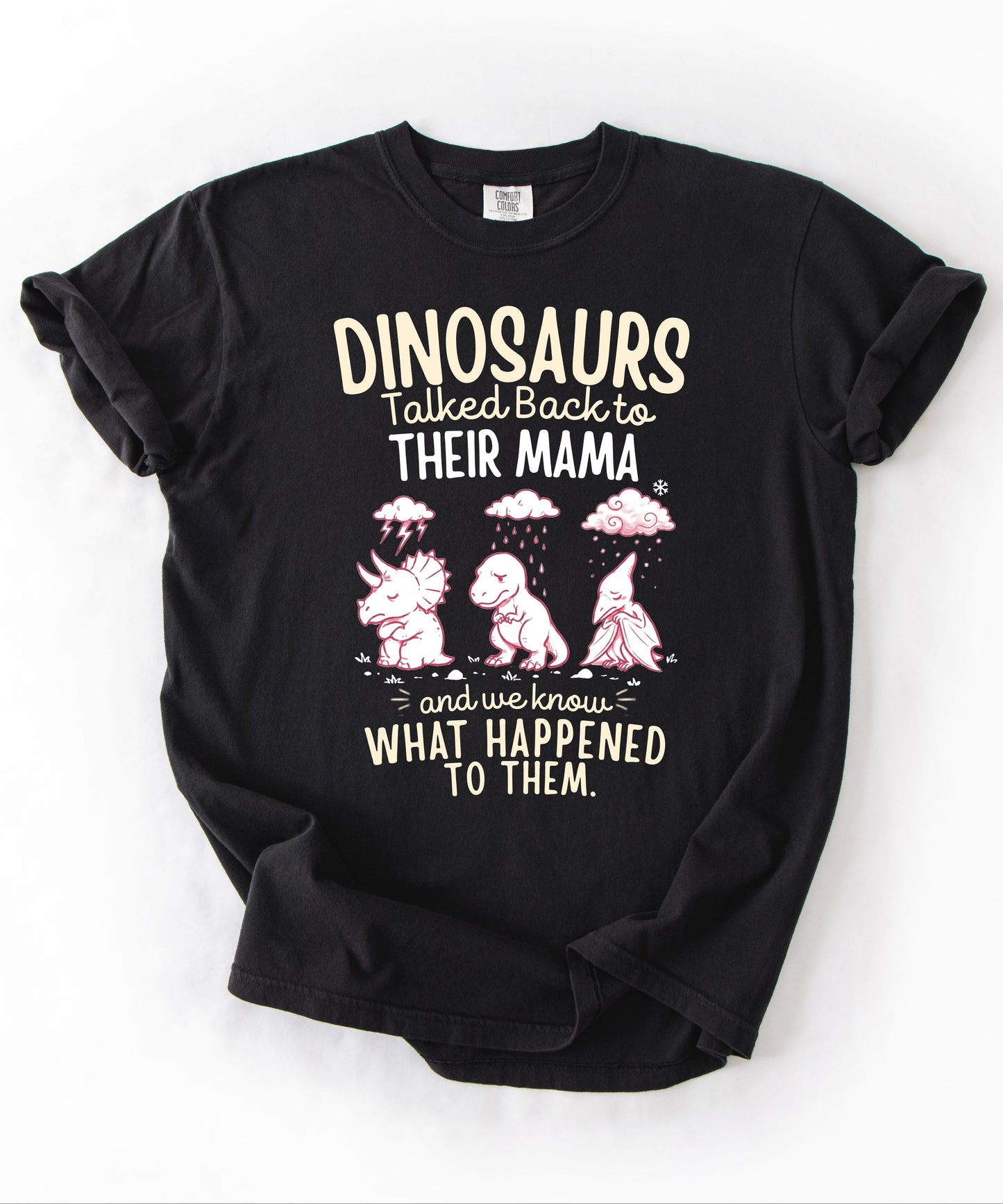 Black Color Funny dinosaur graphic tee featuring retro dino illustration with phrase "Dinosaurs talked back to their mama and we know what happened to them" — front view on garment-dyed cotton