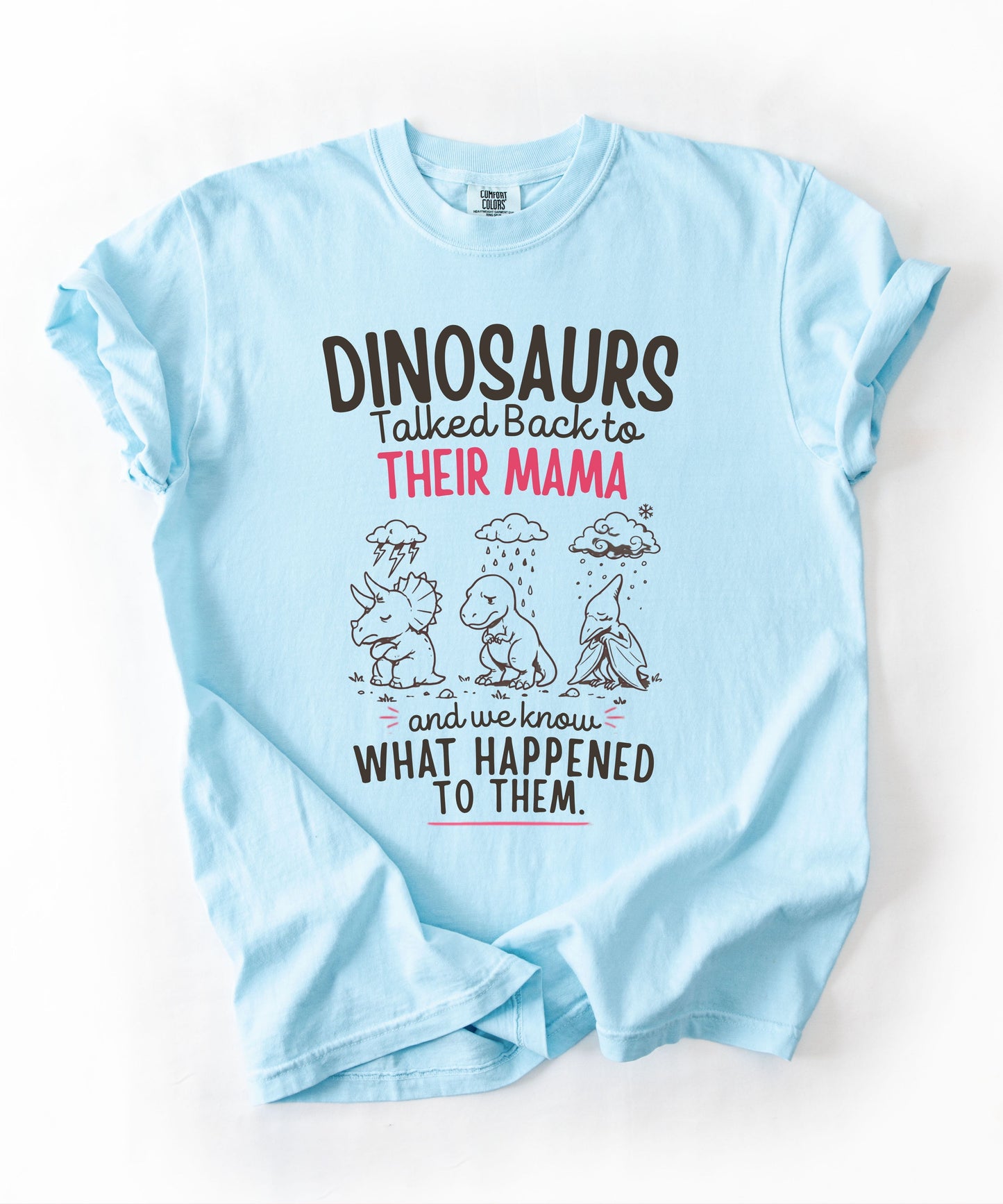 Chambray color Funny dinosaur graphic tee featuring retro dino illustration with phrase "Dinosaurs talked back to their mama and we know what happened to them" — front view on garment-dyed cotton