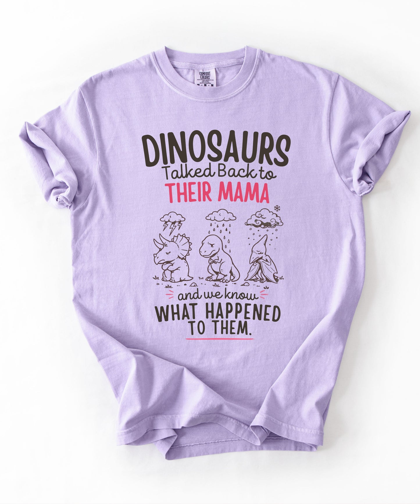 Orchid Color Funny dinosaur graphic tee featuring retro dino illustration with phrase "Dinosaurs talked back to their mama and we know what happened to them" — front view on garment-dyed cotton