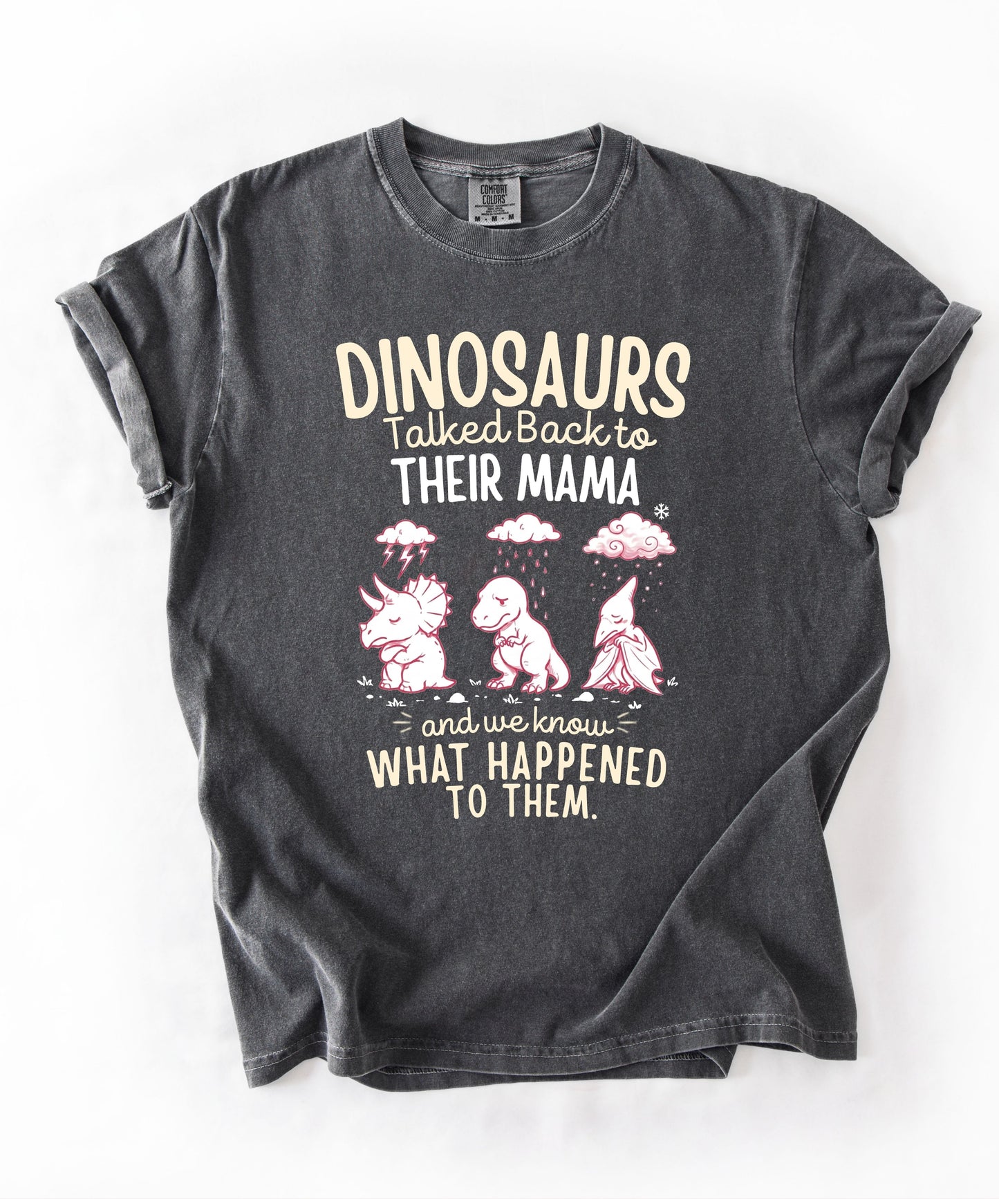 Pepper color Funny dinosaur graphic tee featuring retro dino illustration with phrase "Dinosaurs talked back to their mama and we know what happened to them" — front view on garment-dyed cotton