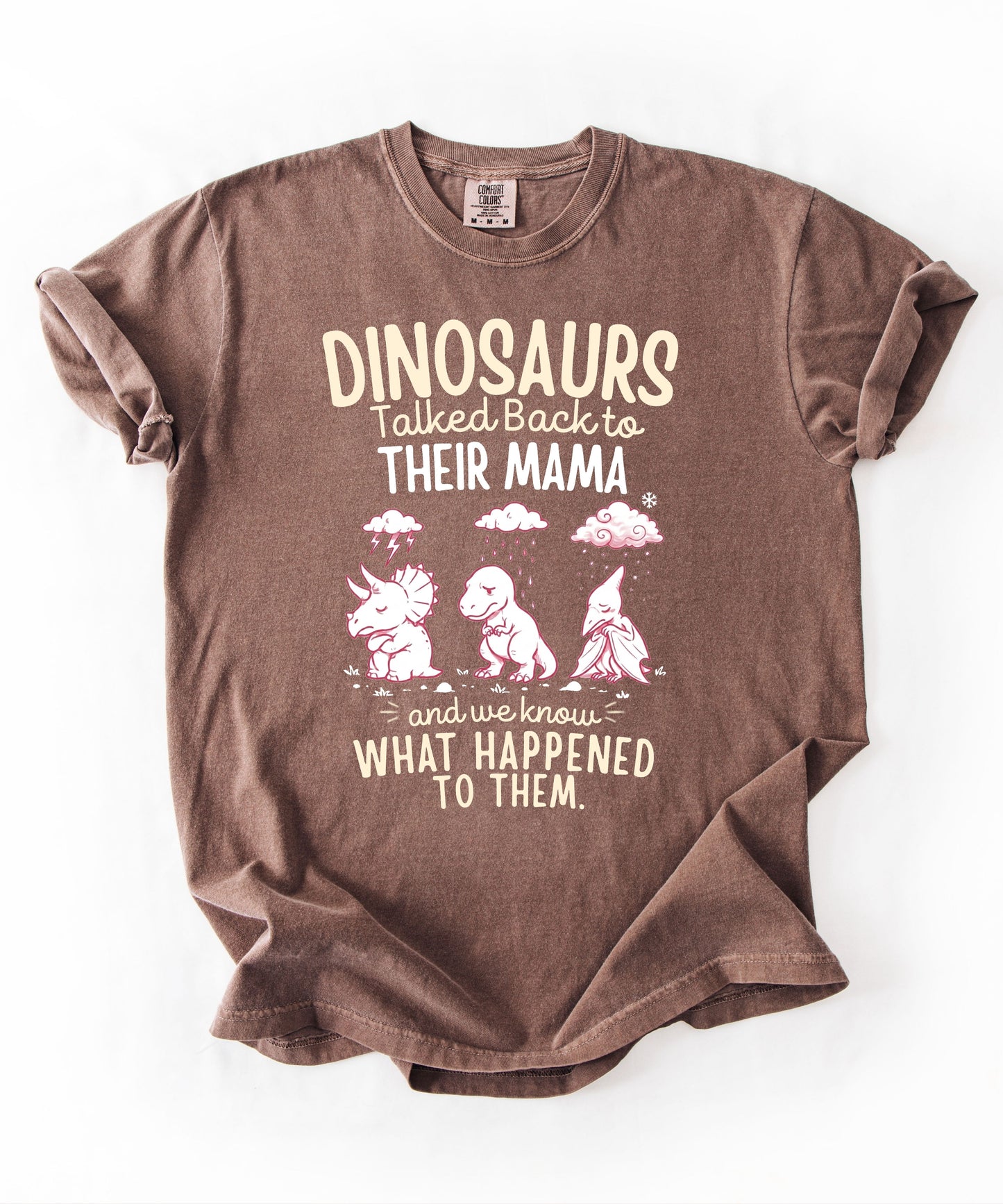 Espresso color Funny dinosaur graphic tee featuring retro dino illustration with phrase "Dinosaurs talked back to their mama and we know what happened to them" — front view on garment-dyed cotton
