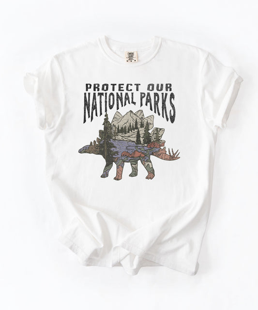 Protect Our National Parks garment-dyed t-shirt in White — vintage stegosaurus graphic with mountain landscape fill"