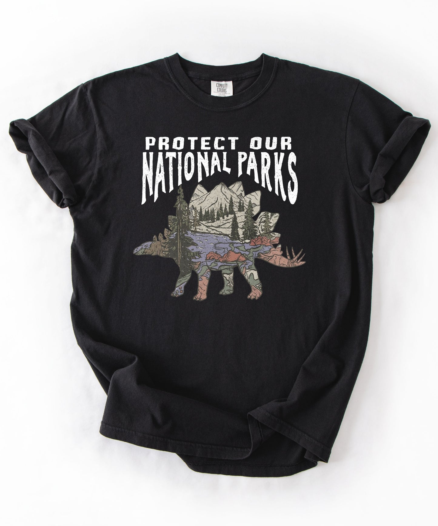 Protect Our National Parks garment-dyed t-shirt in Black — vintage stegosaurus graphic with mountain landscape fill"