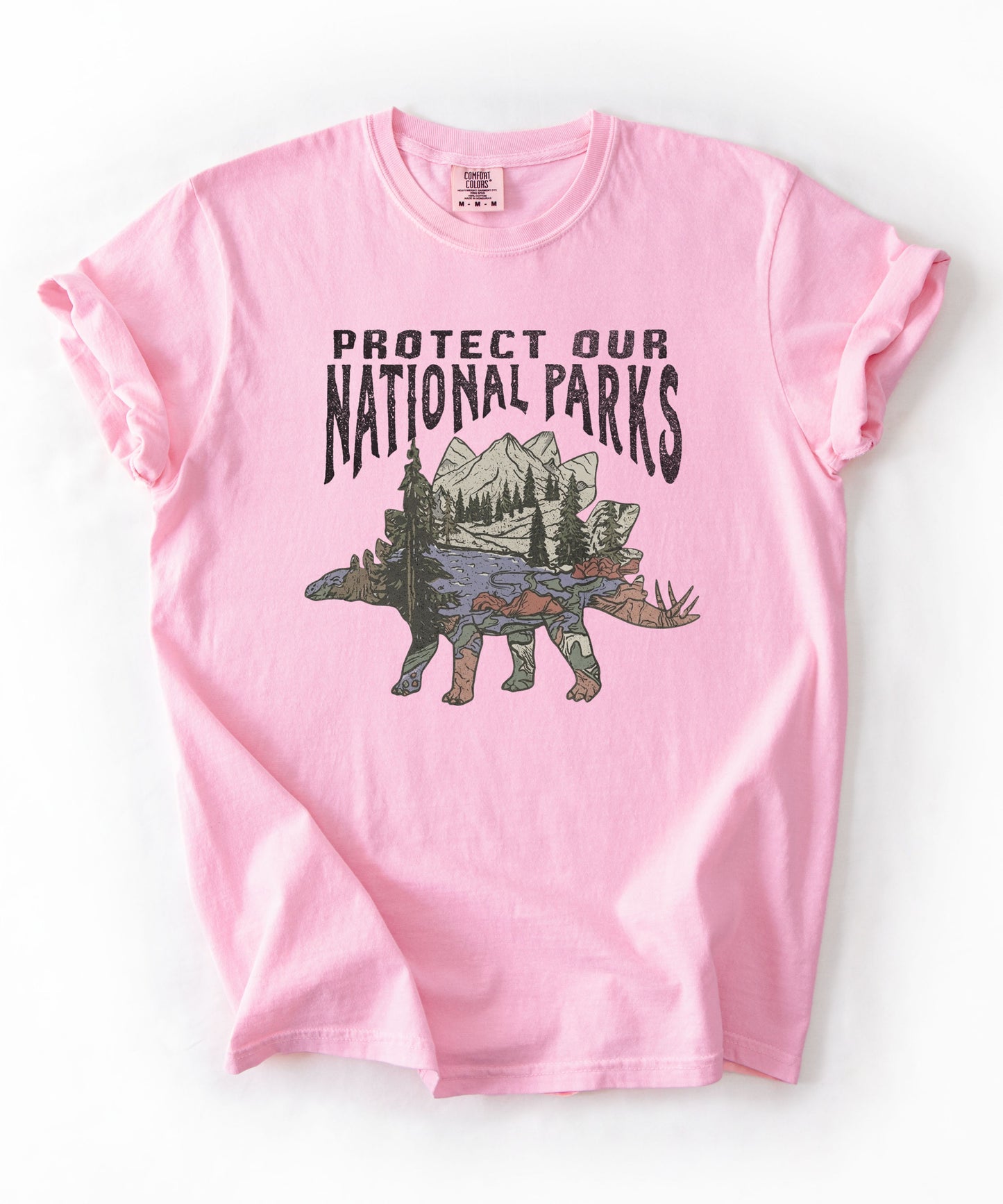 Protect Our National Parks garment-dyed t-shirt in Blossom— vintage stegosaurus graphic with mountain landscape fill"