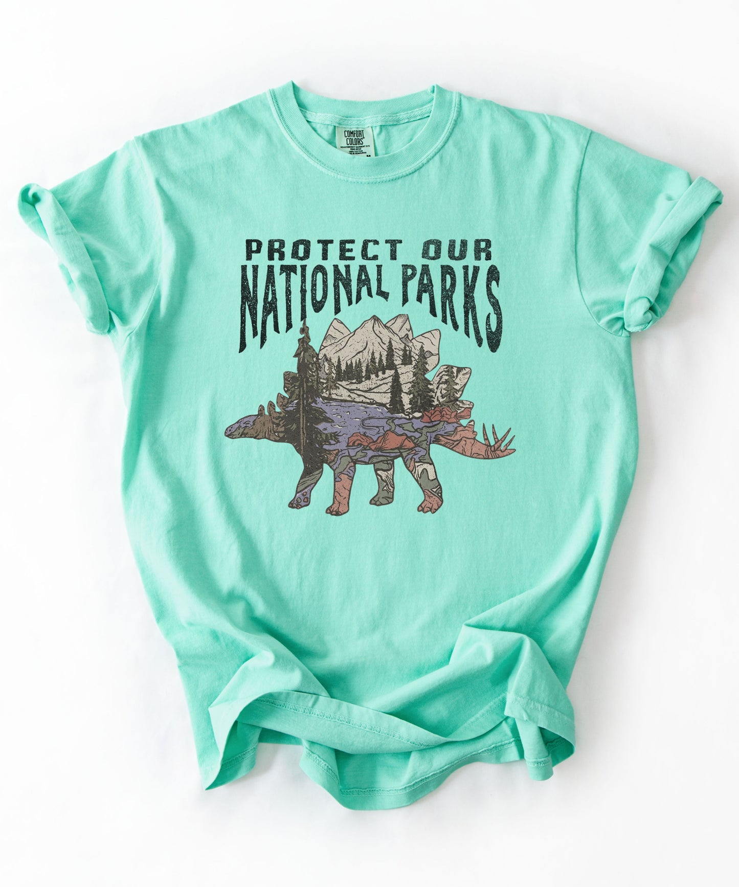 Protect Our National Parks garment-dyed t-shirt in Island Reef— vintage stegosaurus graphic with mountain landscape fill"