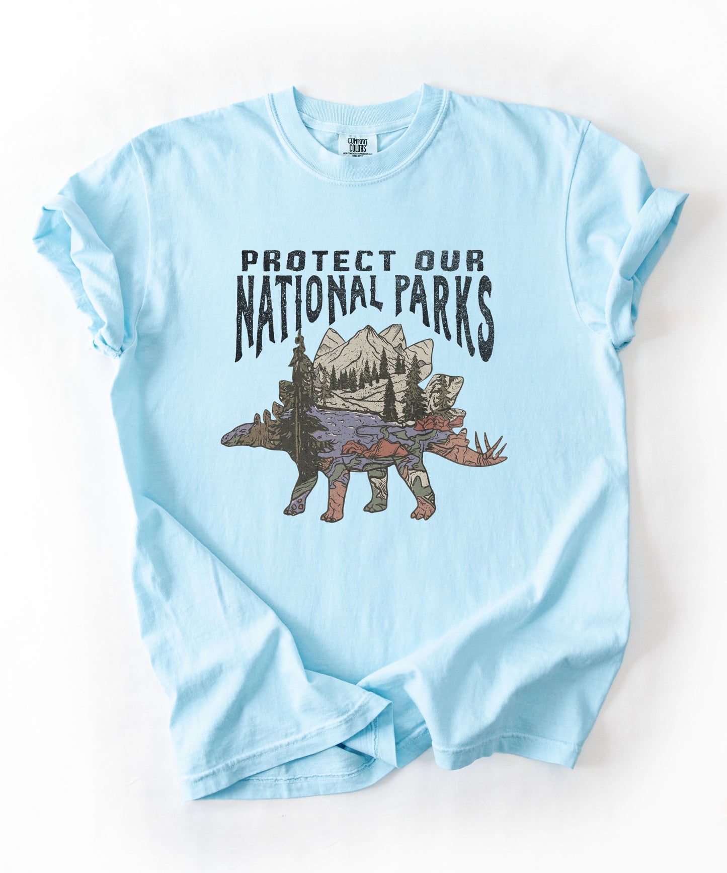 Protect Our National Parks garment-dyed t-shirt in Chambray— vintage stegosaurus graphic with mountain landscape fill"