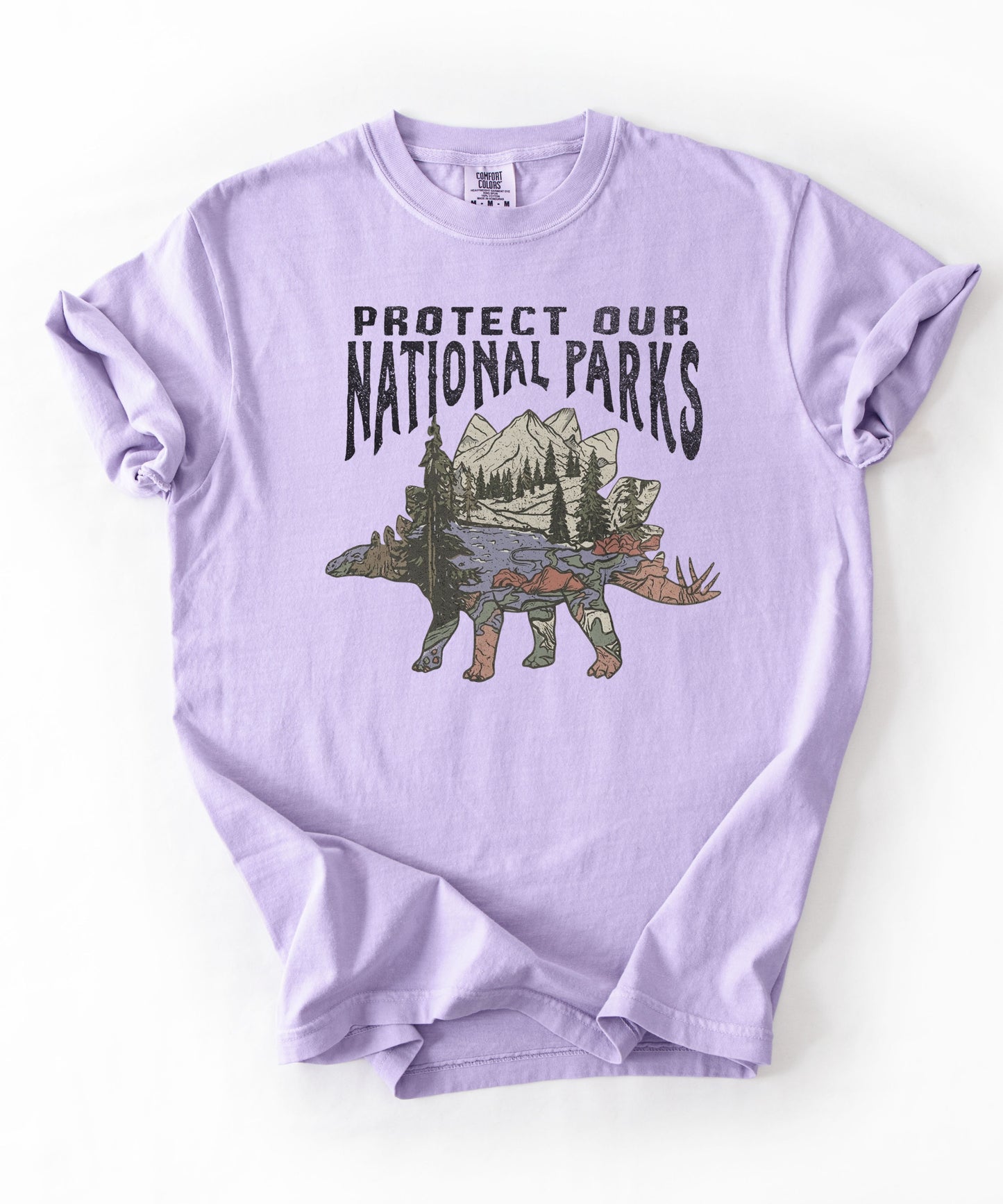 Protect Our National Parks garment-dyed t-shirt in Orchid — vintage stegosaurus graphic with mountain landscape fill"