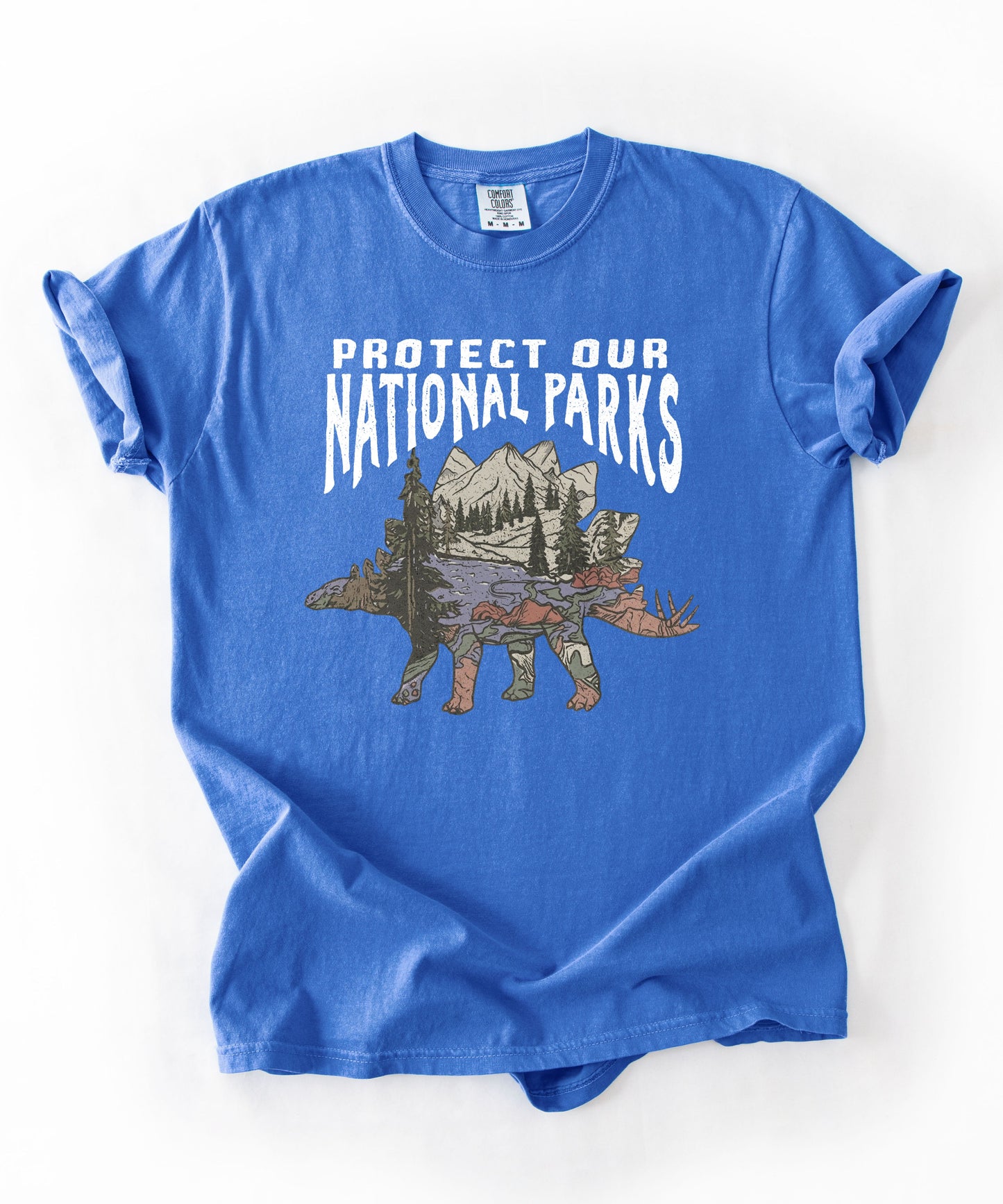 Protect Our National Parks garment-dyed t-shirt in Flo Blue — vintage stegosaurus graphic with mountain landscape fill"