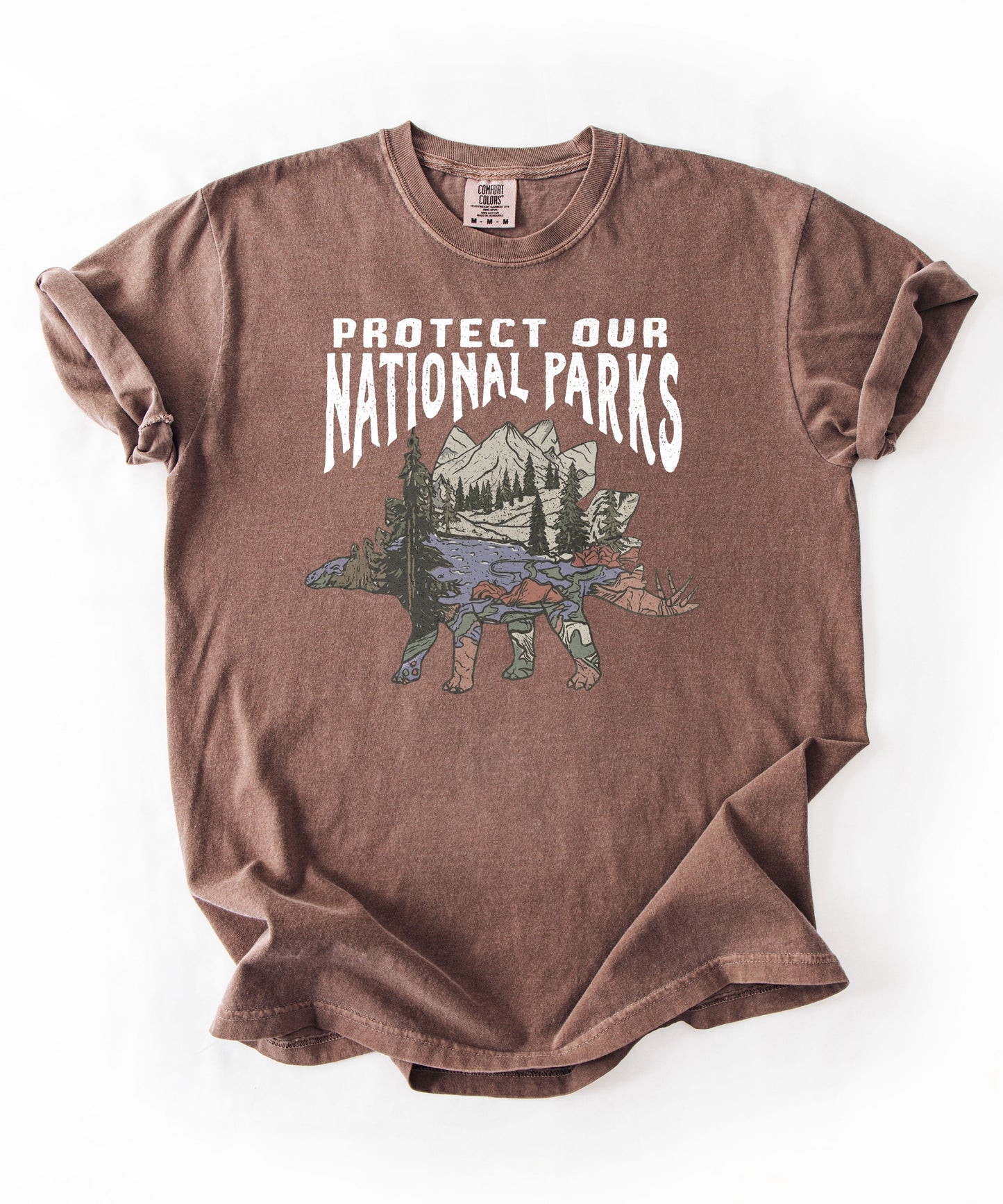 Protect Our National Parks garment-dyed t-shirt in Espresso — vintage stegosaurus graphic with mountain landscape fill"