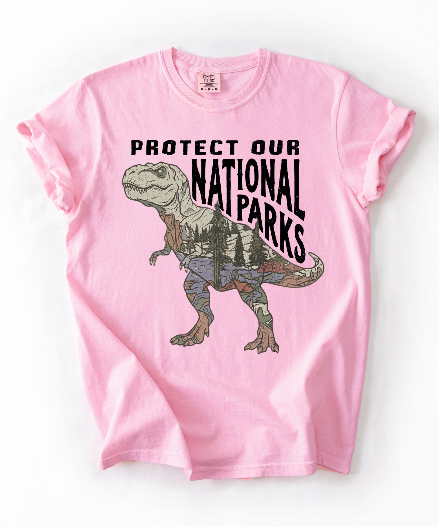 Protect Our National Parks T. Rex Graphic T-Shirt in Blossom— vintage dino conservation tee