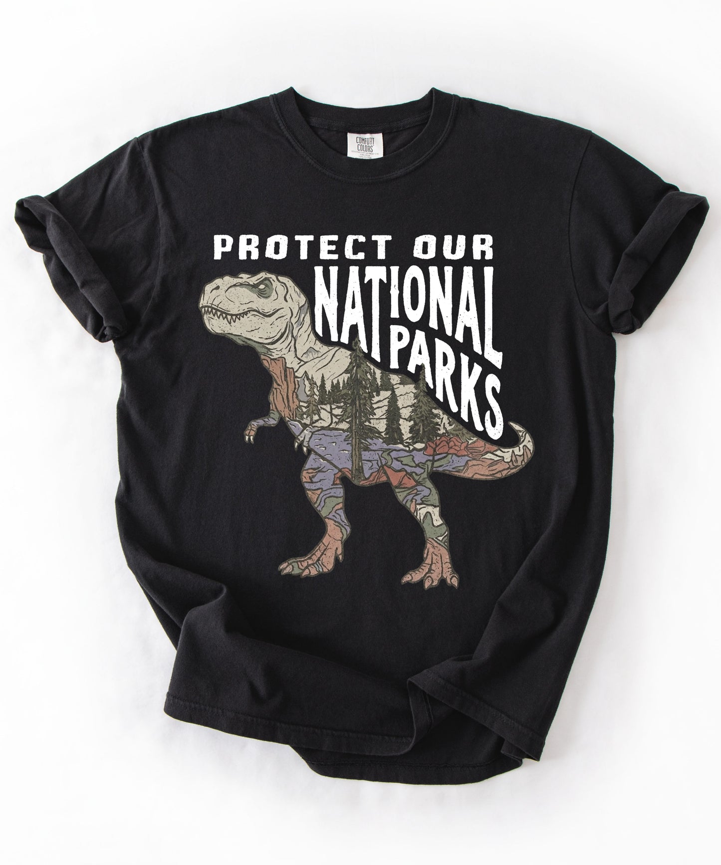 Protect Our National Parks T. Rex Graphic T-Shirt in Black— vintage dino conservation tee