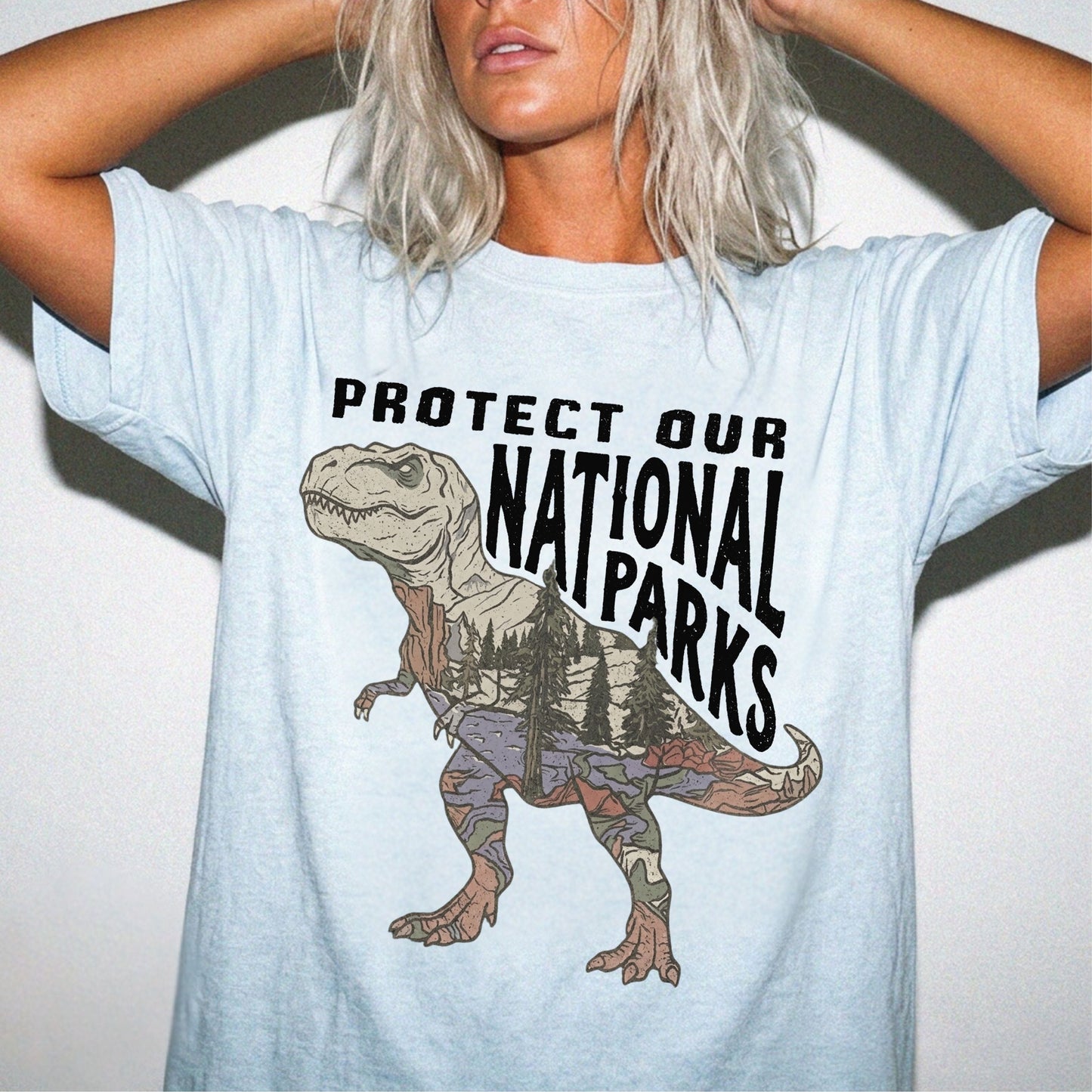 Protect Our National Parks T. Rex Graphic T-Shirt in Chambray — vintage dino conservation tee