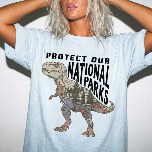 Protect Our National Parks T. Rex Graphic T-Shirt in Chambray — vintage dino conservation tee