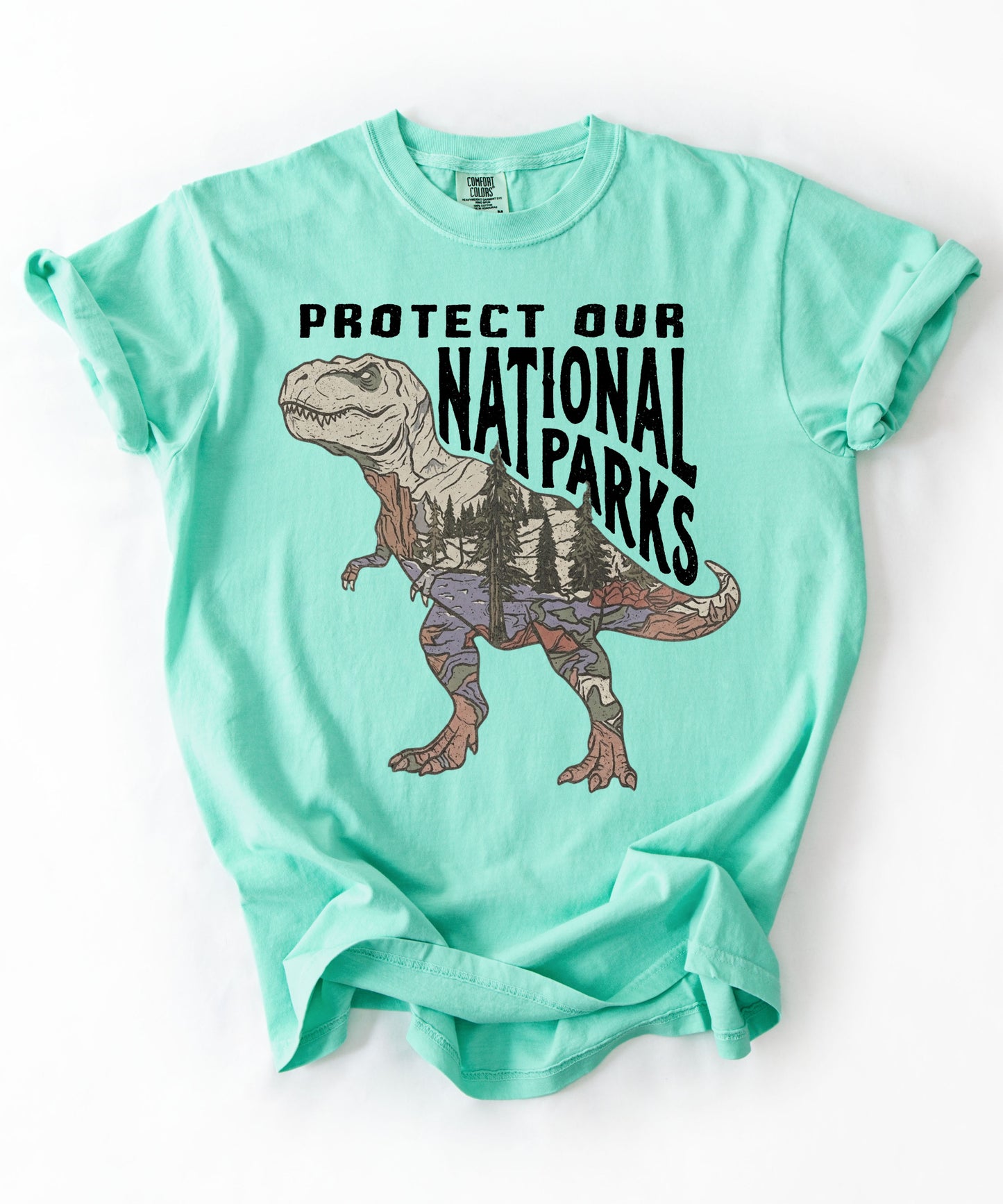 Protect Our National Parks T. Rex Graphic T-Shirt in Island Reef — vintage dino conservation tee