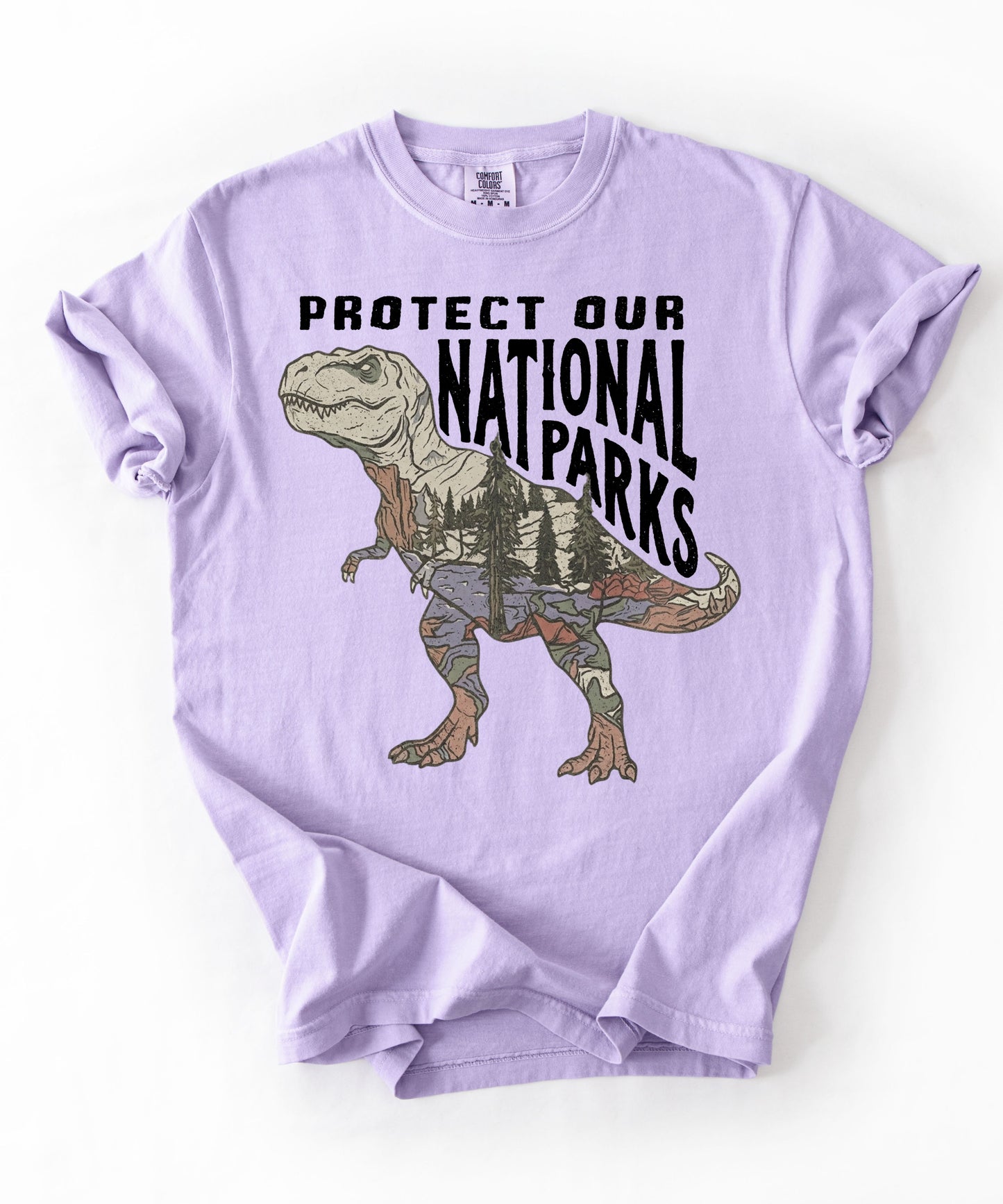 Protect Our National Parks T. Rex Graphic T-Shirt in Orchid — vintage dino conservation tee