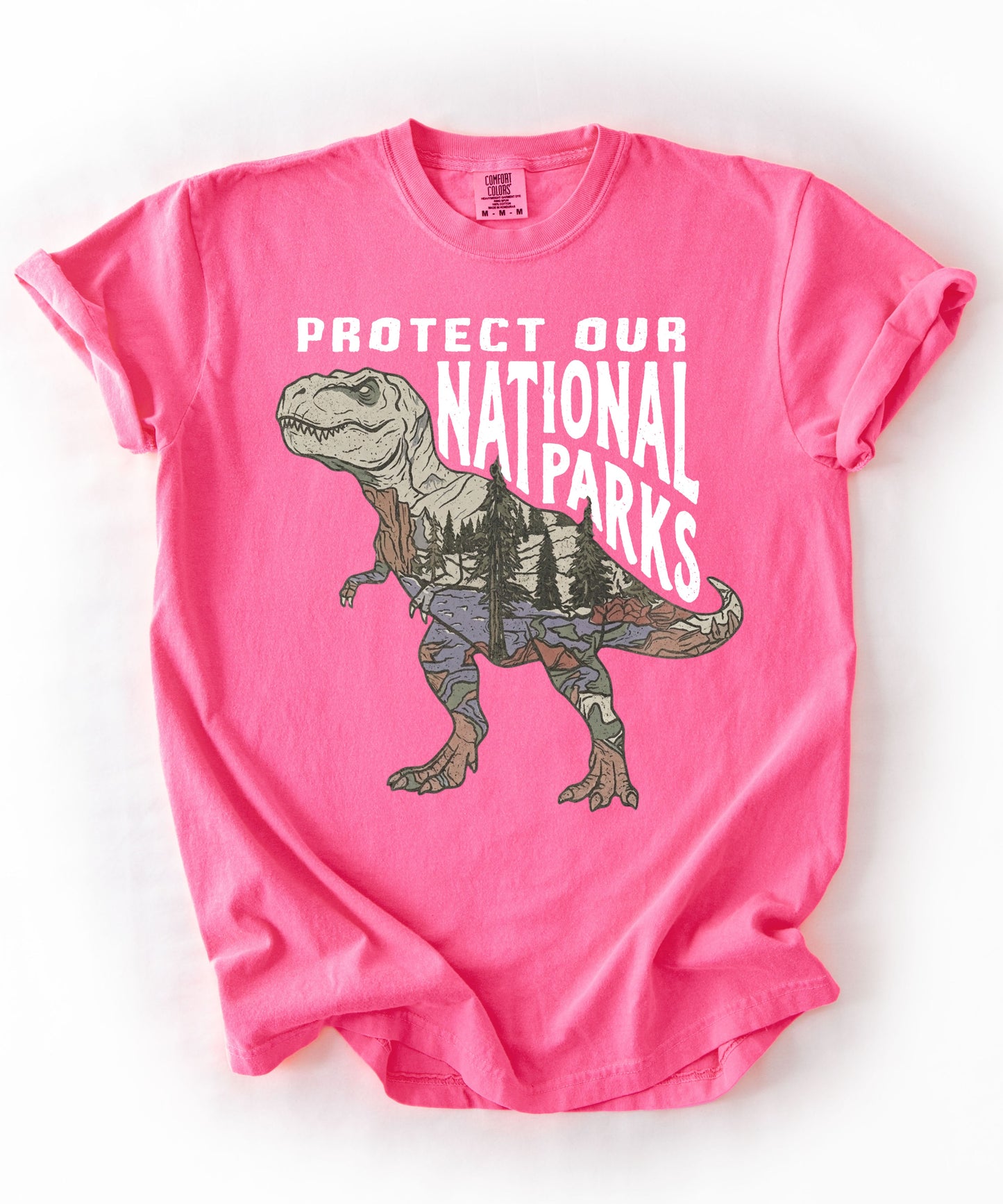Protect Our National Parks T. Rex Graphic T-Shirt in Neon Pink — vintage dino conservation tee