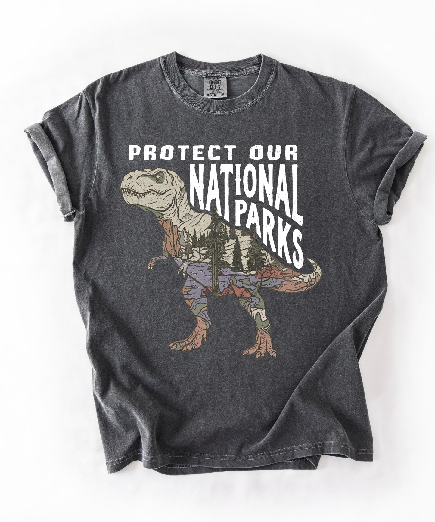 Protect Our National Parks T. Rex Graphic T-Shirt in Pepper — vintage dino conservation tee