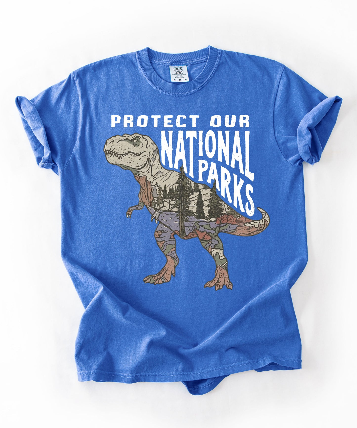 Protect Our National Parks T. Rex Graphic T-Shirt in Flo Blue — vintage dino conservation tee