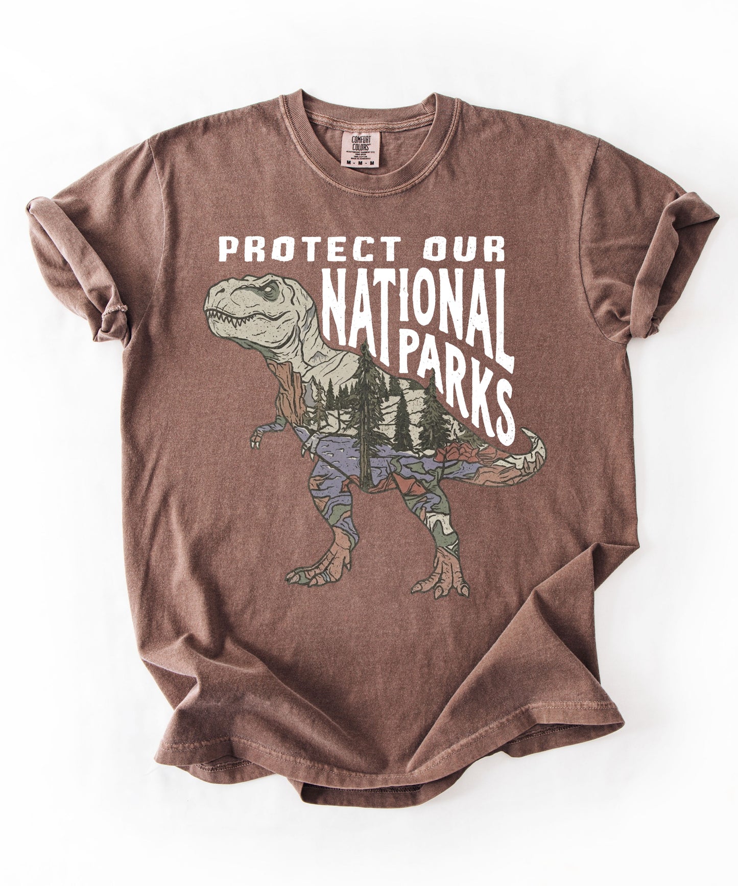 Protect Our National Parks T. Rex Graphic T-Shirt in Espresso — vintage dino conservation tee