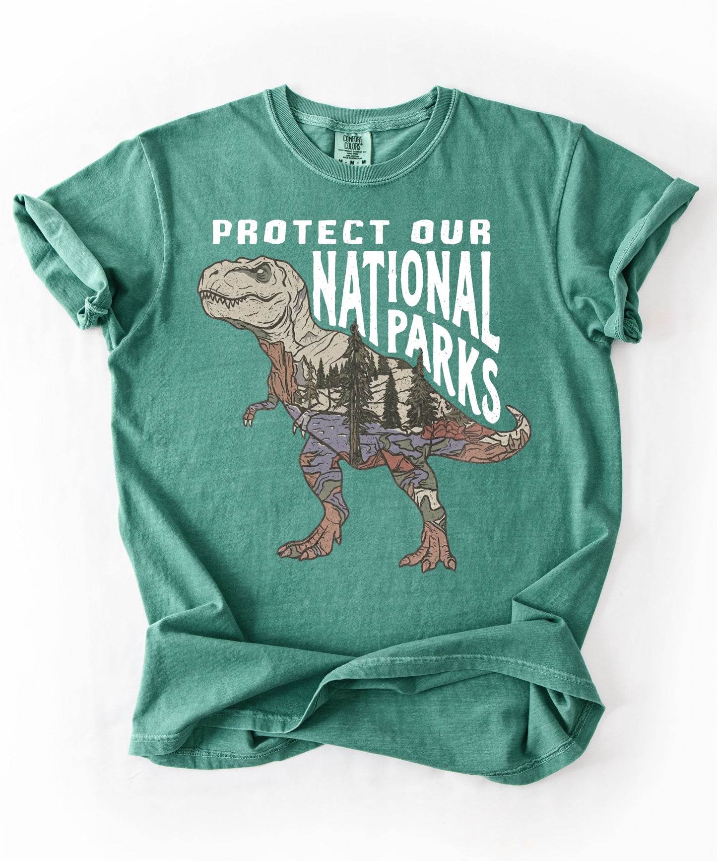 Protect Our National Parks T. Rex Graphic T-Shirt in Light Green — vintage dino conservation tee