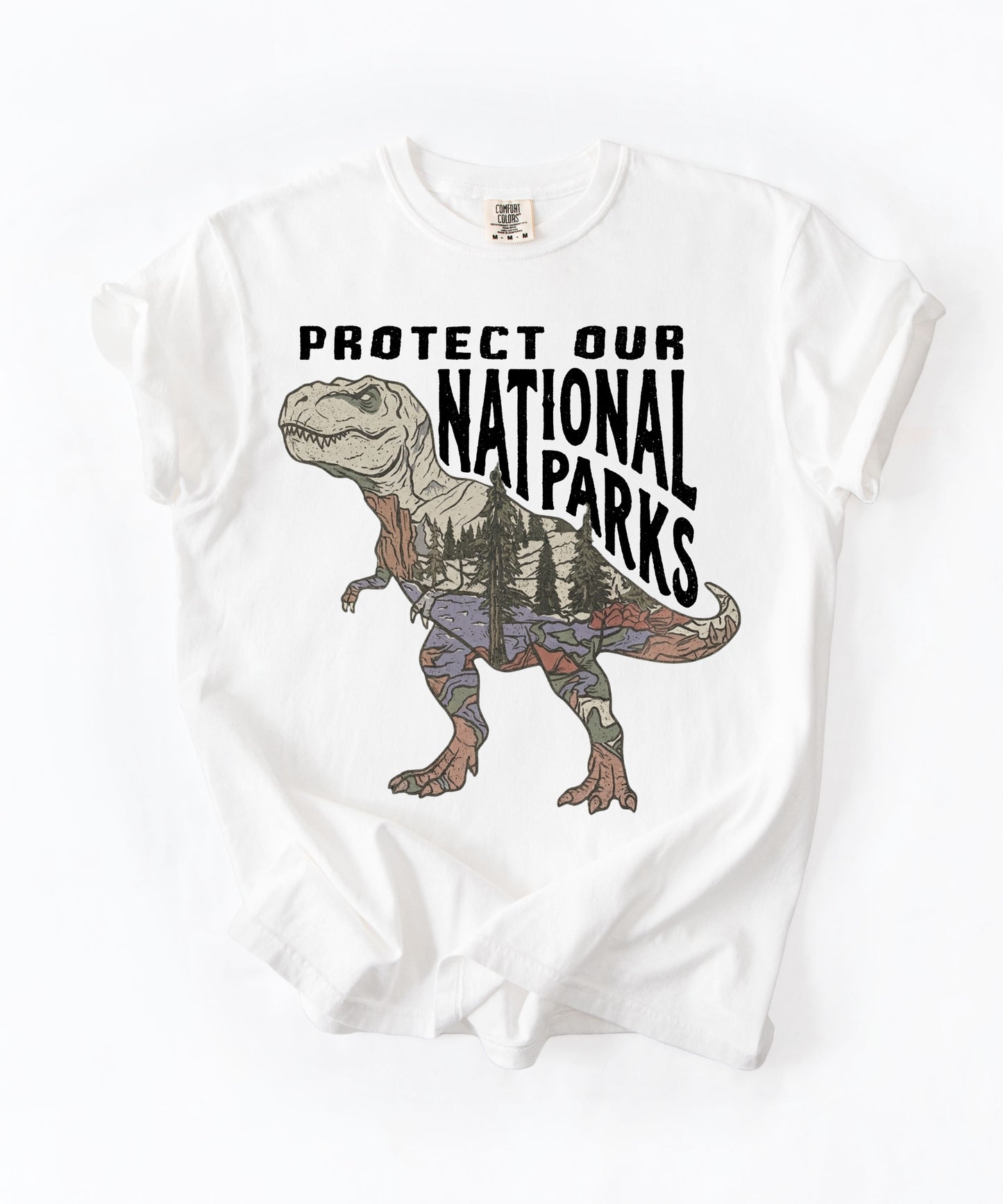 Protect Our National Parks T. Rex Graphic T-Shirt in White — vintage dino conservation tee